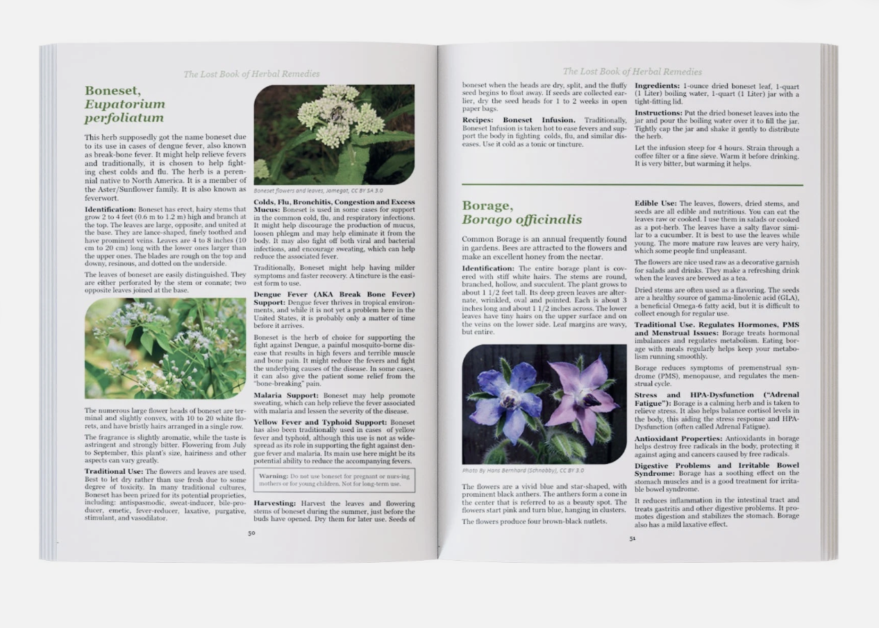 Screenshot 2026-01-25 at 2.18.13 AM.png