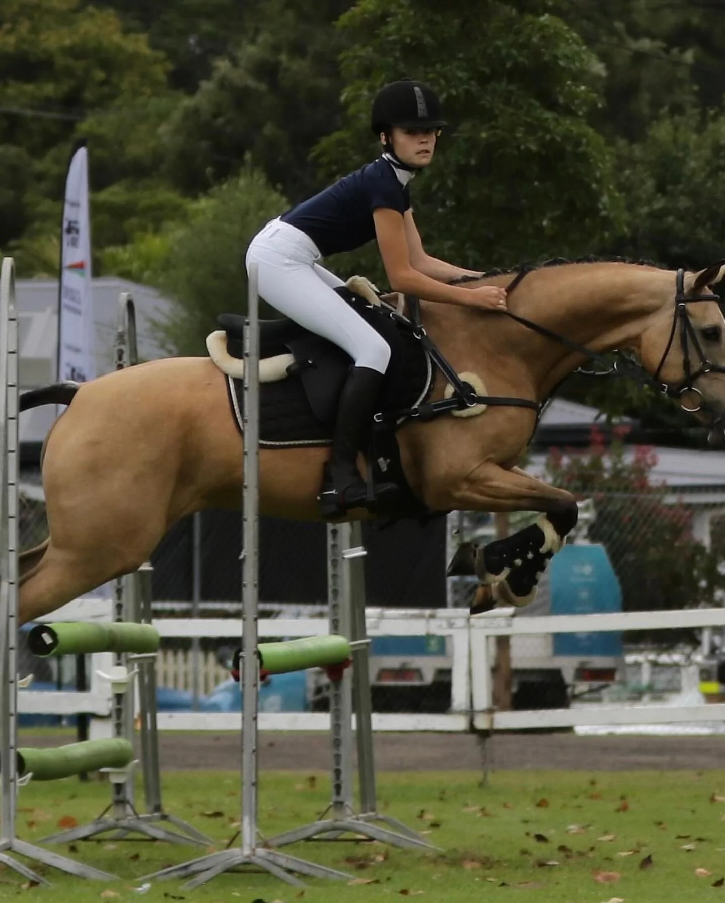 💎 MILTON SHOW 2025 💎
So so proud of my beautiful girl cleaning up at this years Milton Show so many firsts for her first Ag show, First time staying overnight at Showgrounds, First four day long competition, First real dressage test, First real spo