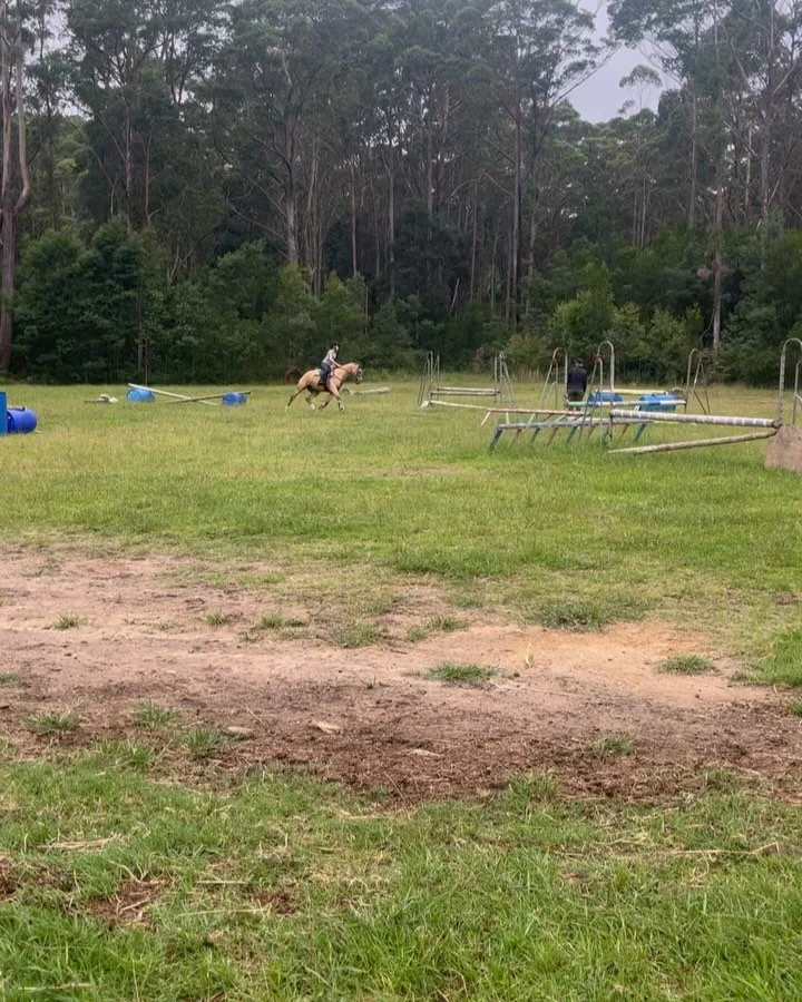 Had the best lesson ever today ! Thankyou soo much @madalyn_woods_eventing for the great lesson. Amarni popped over all the jumps like the little legend she is so proud of this horse 💖 

Proudly sponsored by @hamptonandharlowequestrian use code #Lyl