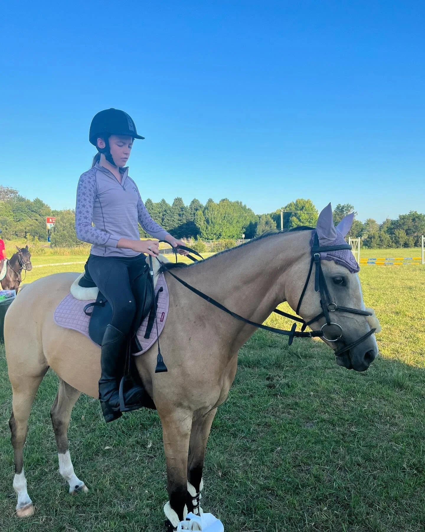 ✨BRC TWILIGHT JUMPING✨
Better late than never 
Amarni was AMAZING I dropped the heights right down to  build her confidence and get her comfortable in the ring and it worked soo well 

Unfortunately no clear rounds but every refusal was my fault and 