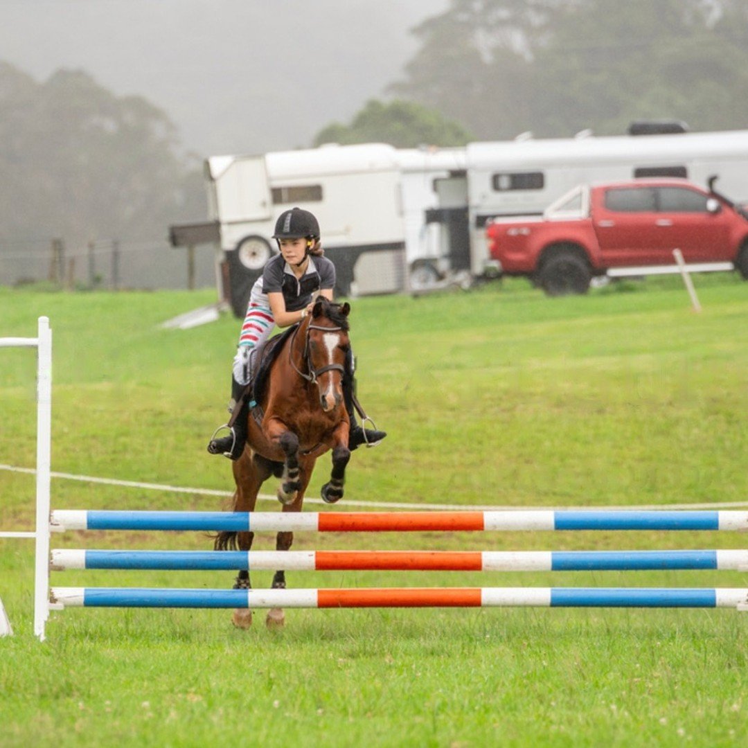 Flash back to when i rode Sam Sam the most beautiful pony ever !

Thanks soo much for letting me ride your beautiful boy @charlies.eq ❤️

-

-

@hamptonandharlowequestrian 
#fyp #horse #showjumping #horseriding #equestrian #hamptonandharlowequestrian