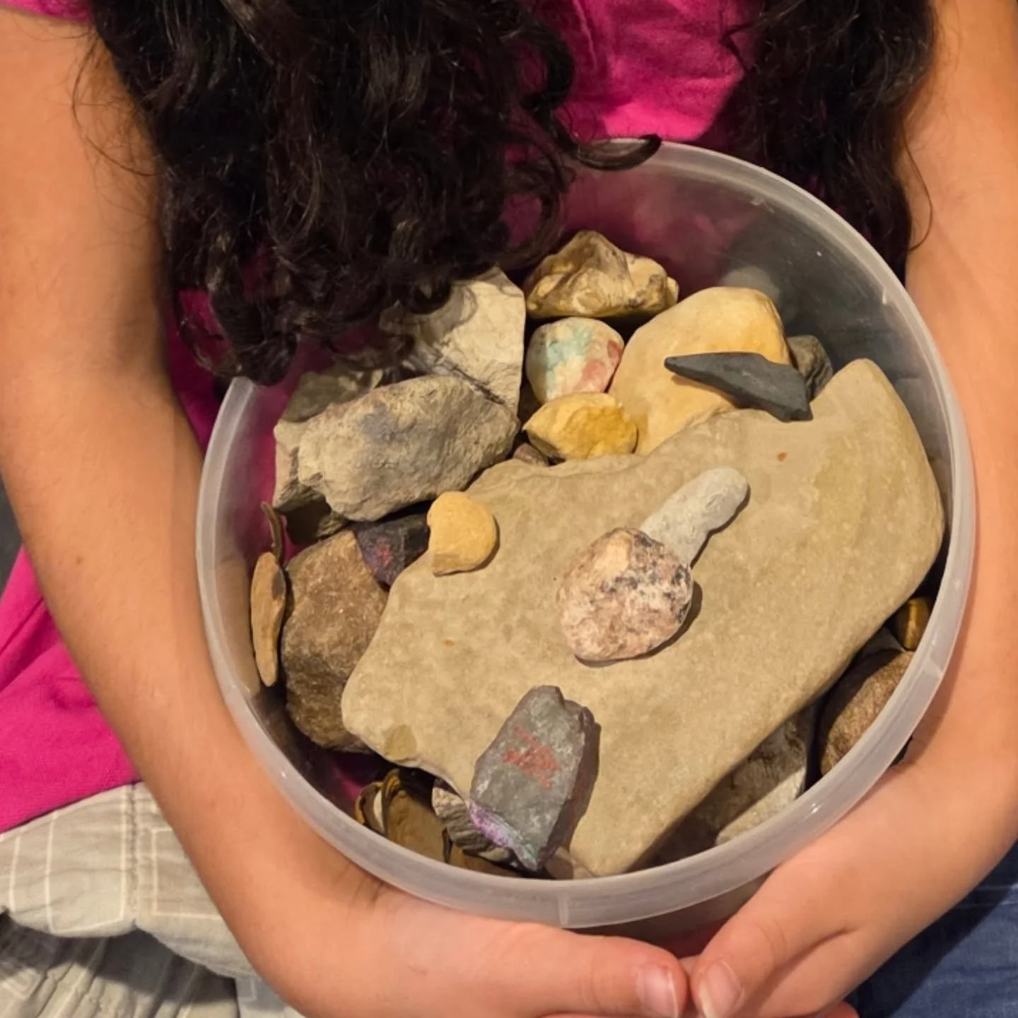 When you are moving states away and your daughter needs to take her rock collection, you find the perfect bin. #moving #ministrylife