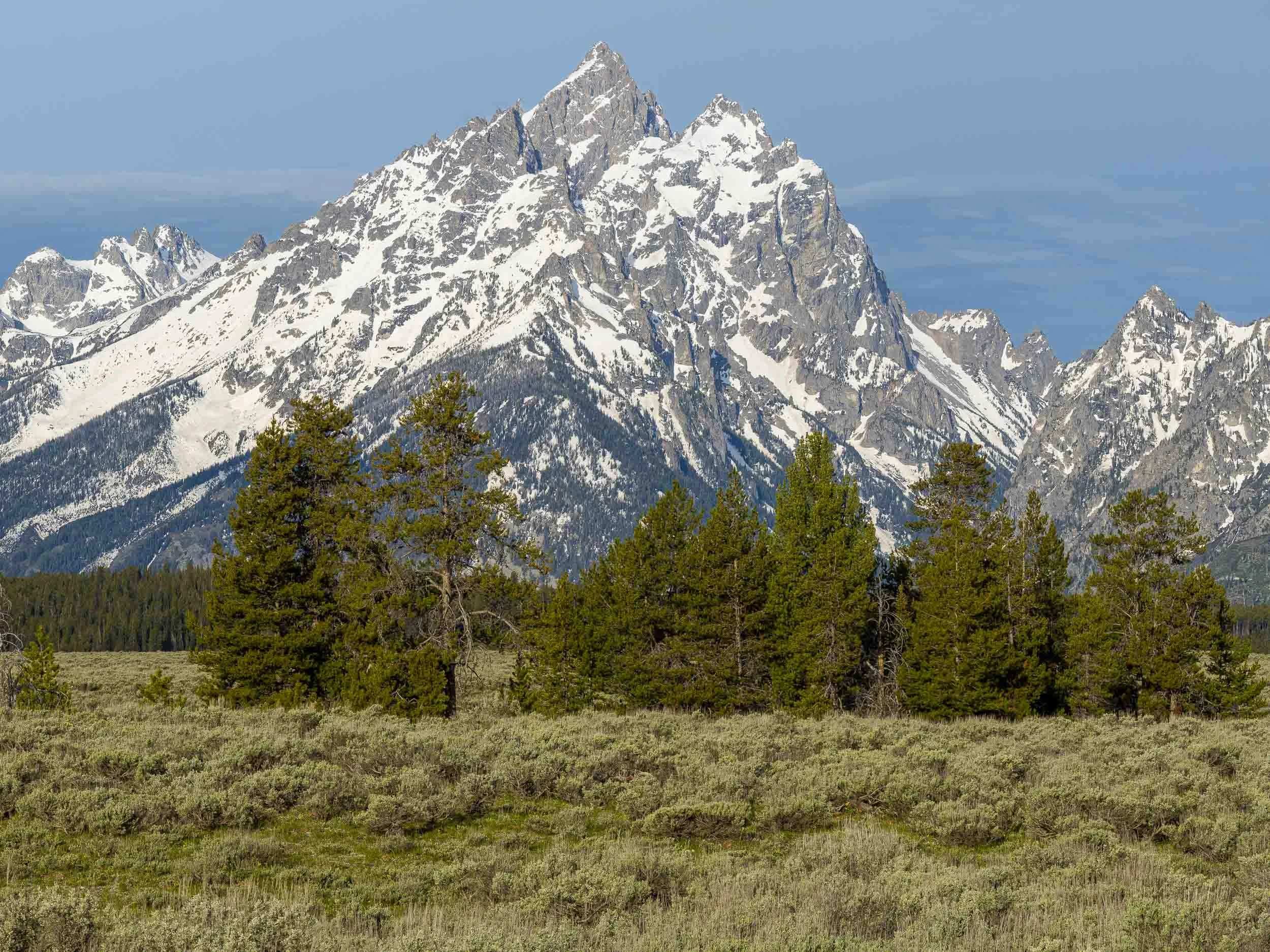 _A1_4680-Pano.jpg