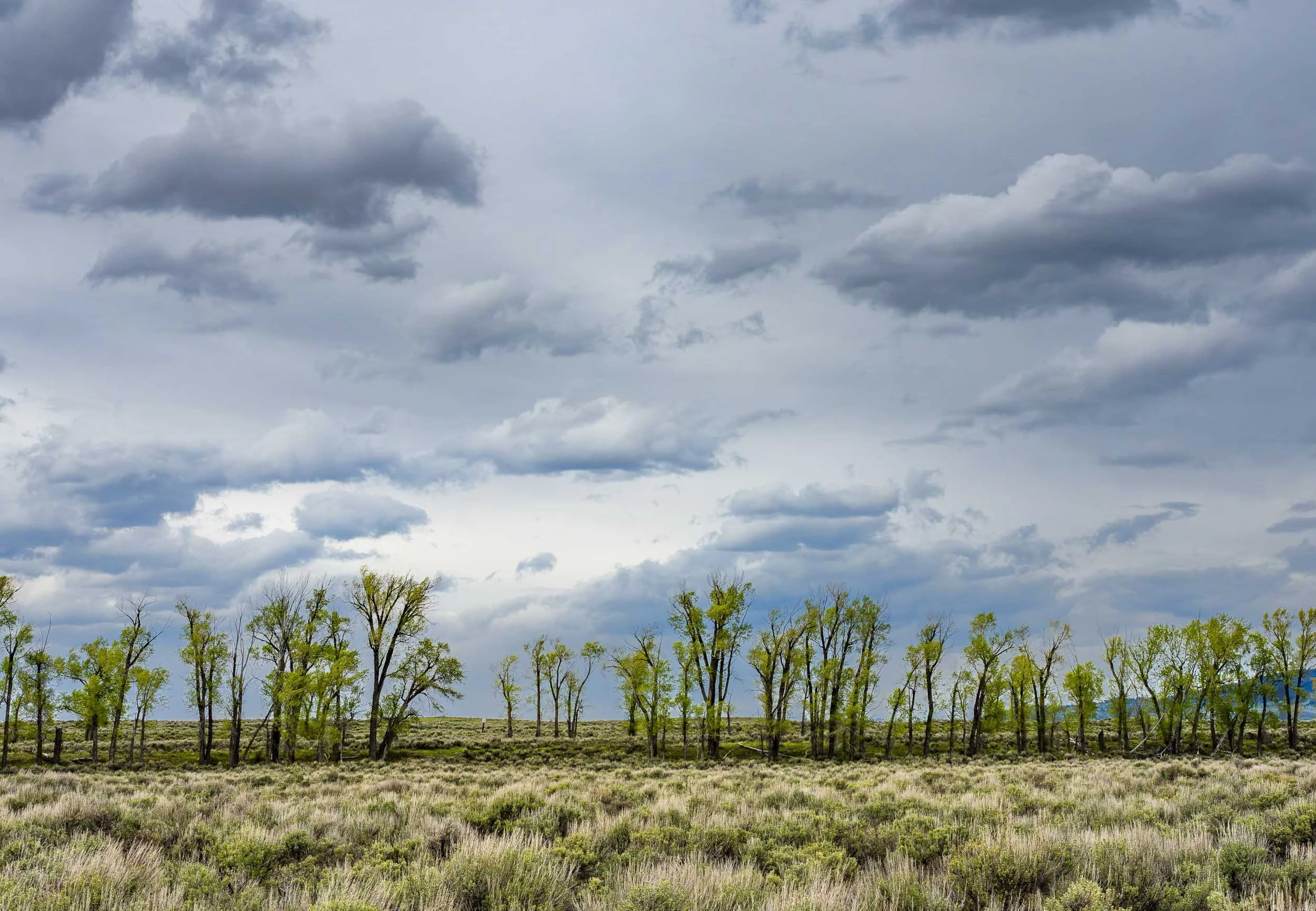 20260516-_A1_5181-HDR.jpg