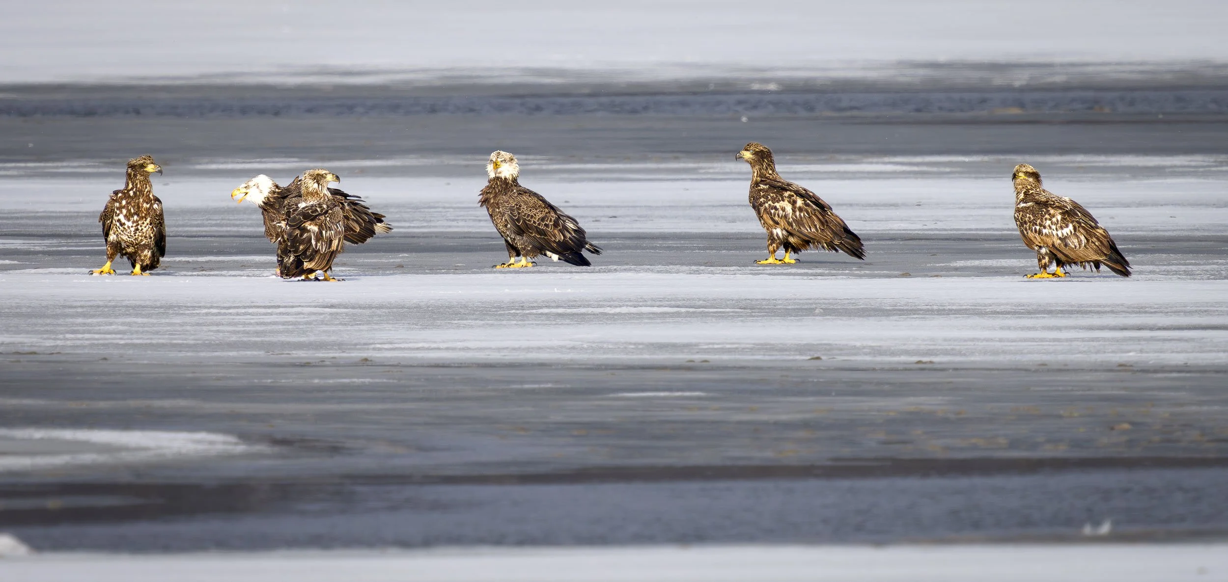 20260301-_A1_1174.jpg