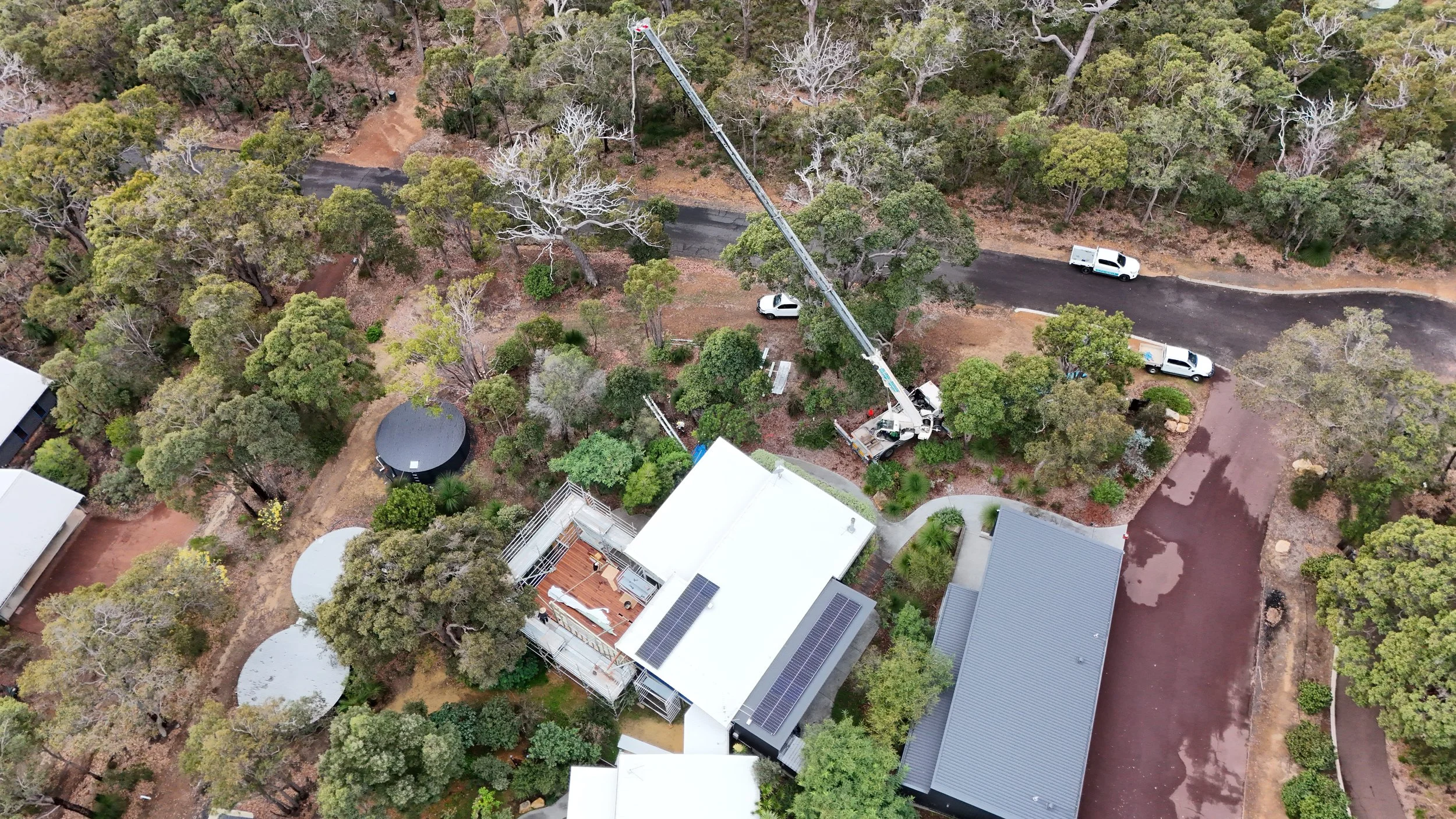 An aerial view of a residential backyard with a large tree being trimmed by a crane truck, surrounded by other trees and houses with solar panels.
