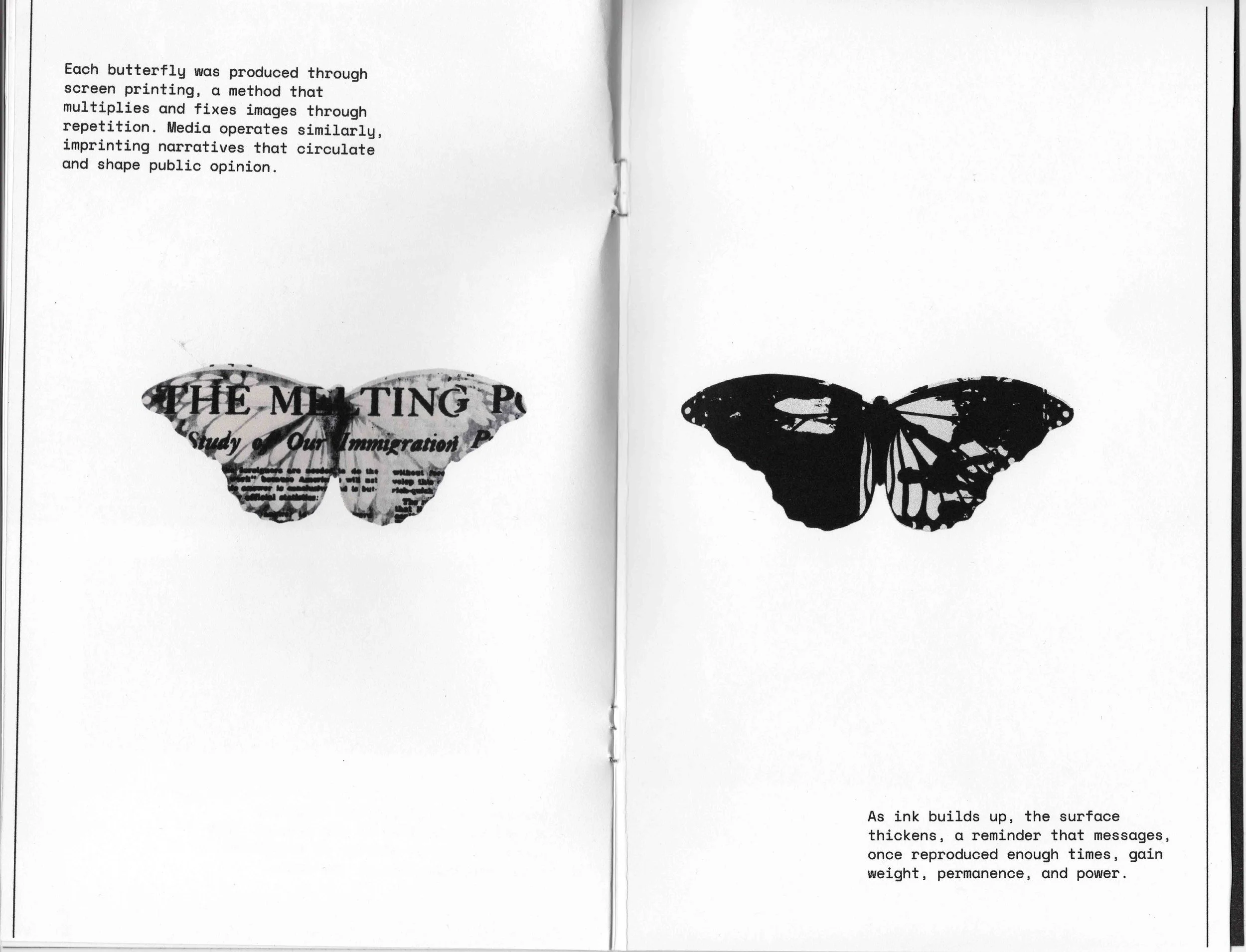 Permission to fly -5-2.jpg