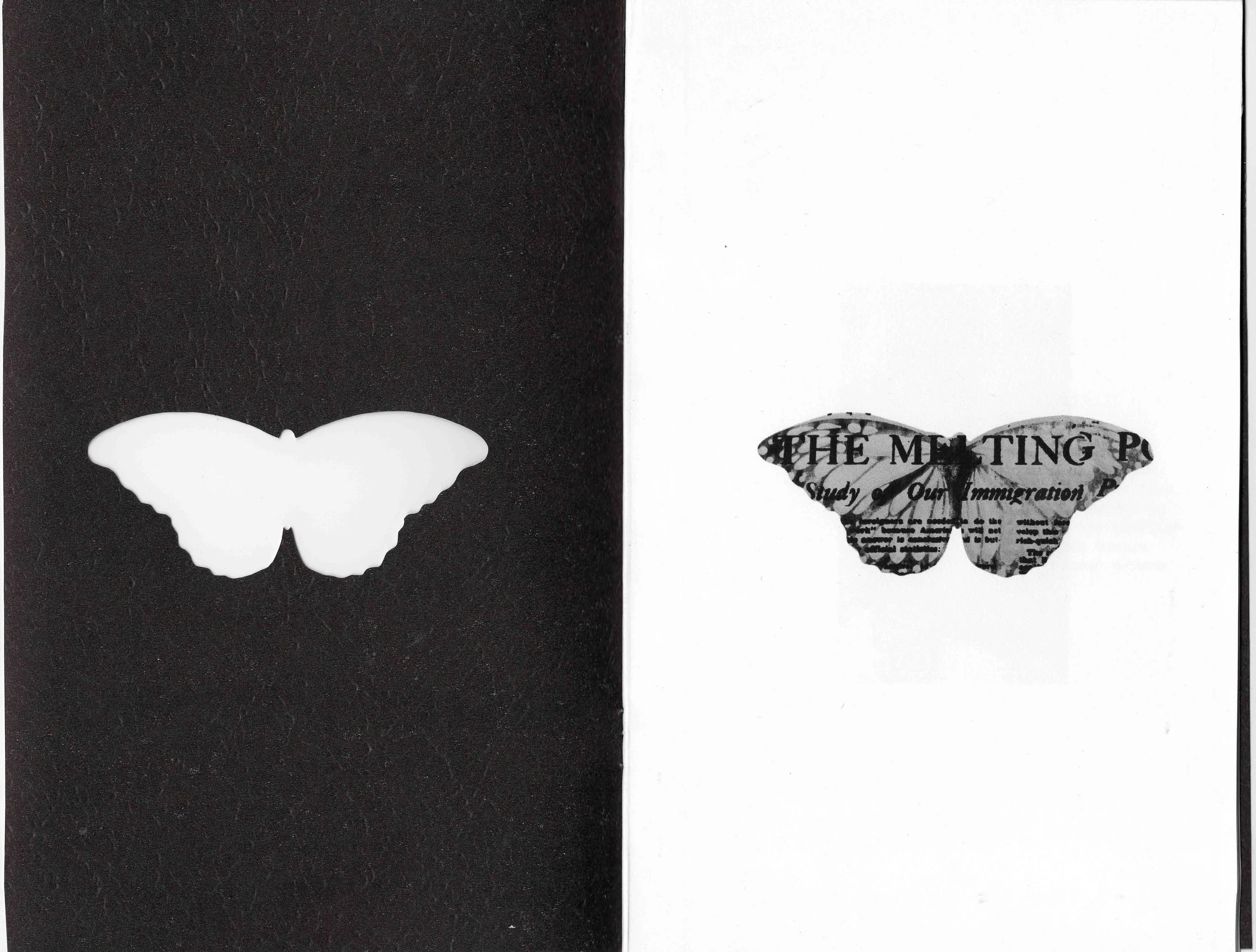 Permission to fly -2-2.jpg