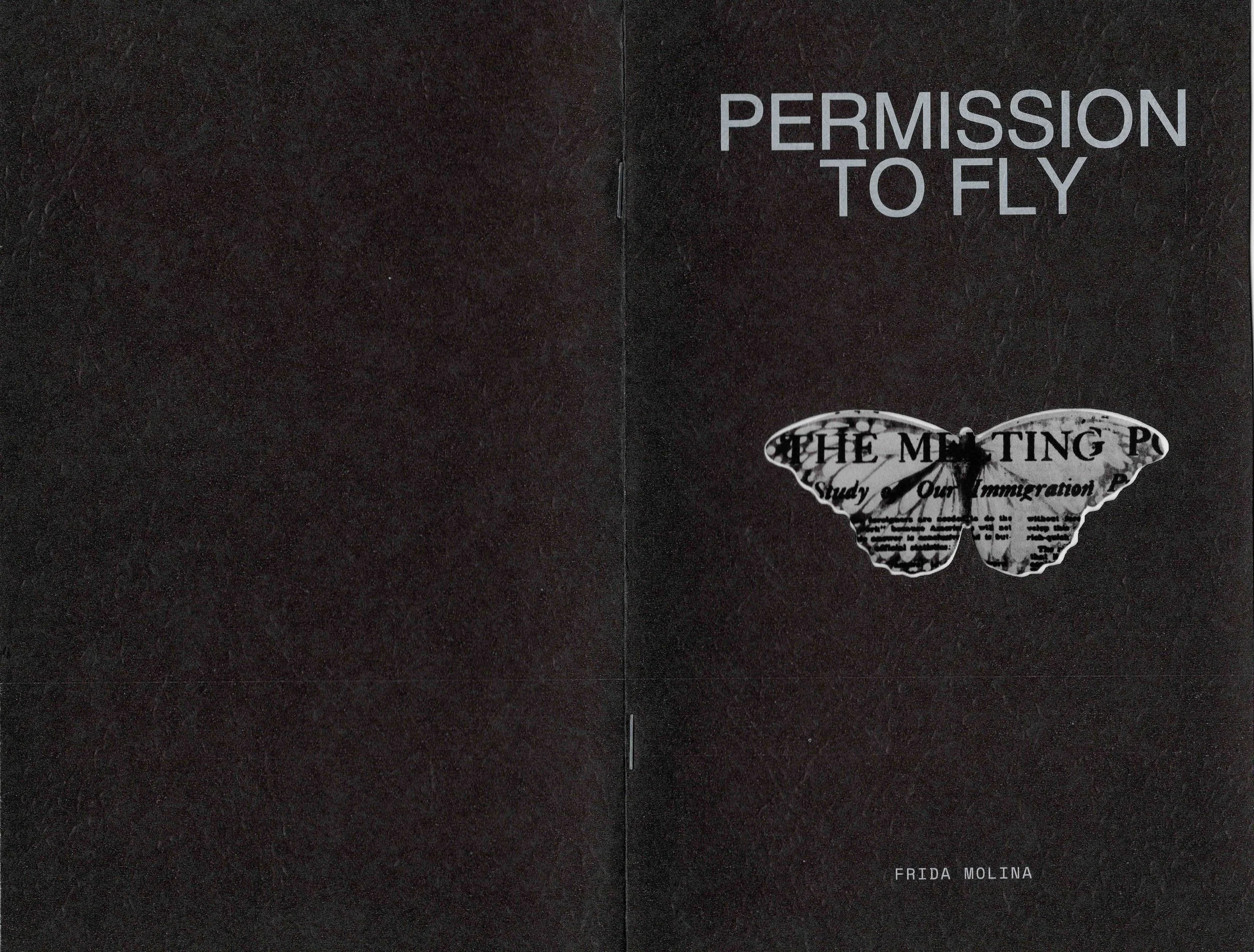 Permission to fly -1-2.jpg