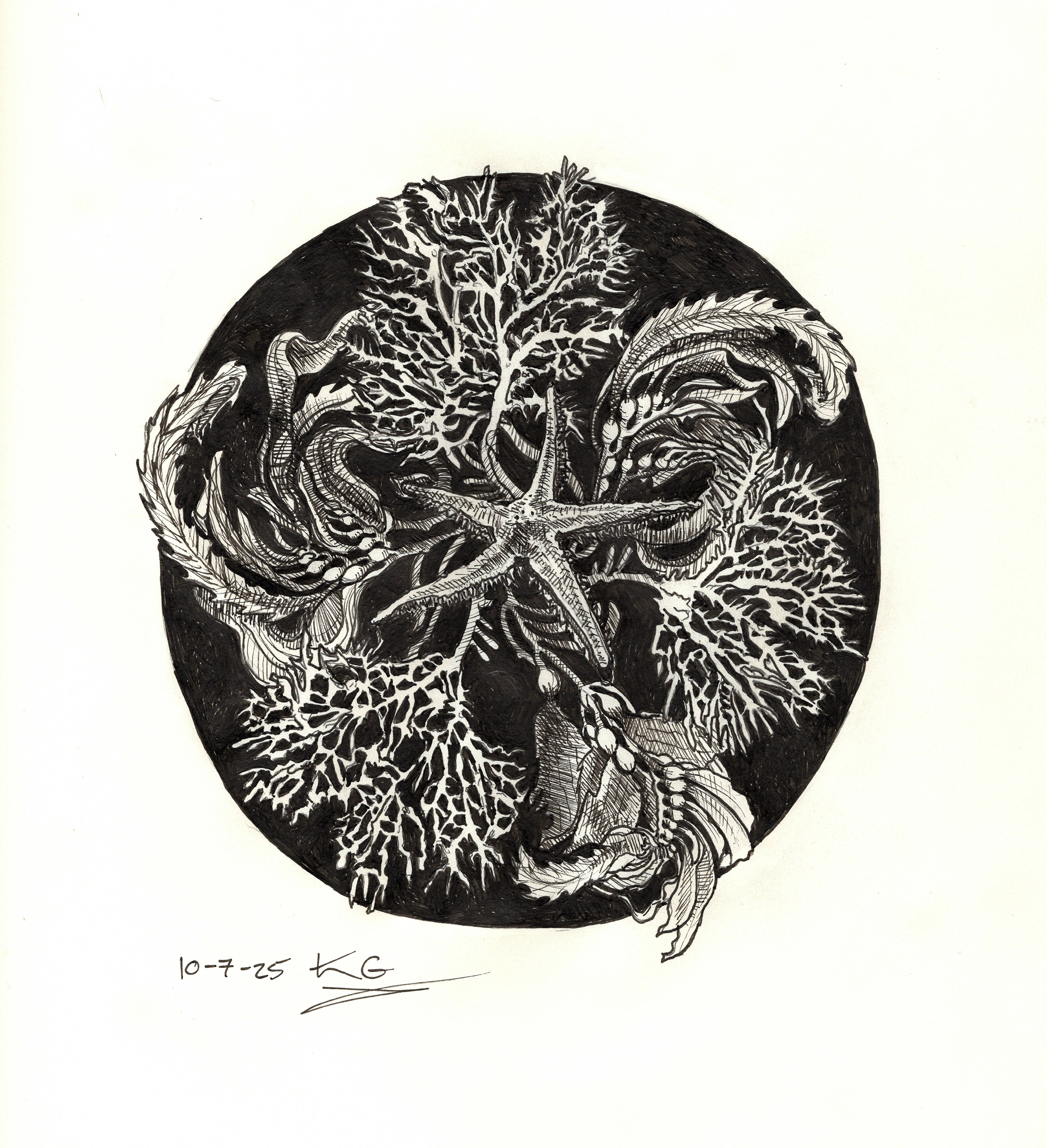 %22Starfish%22 ink resize.png