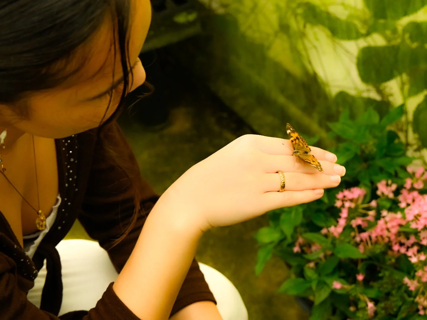 _DSC1801.jpeg