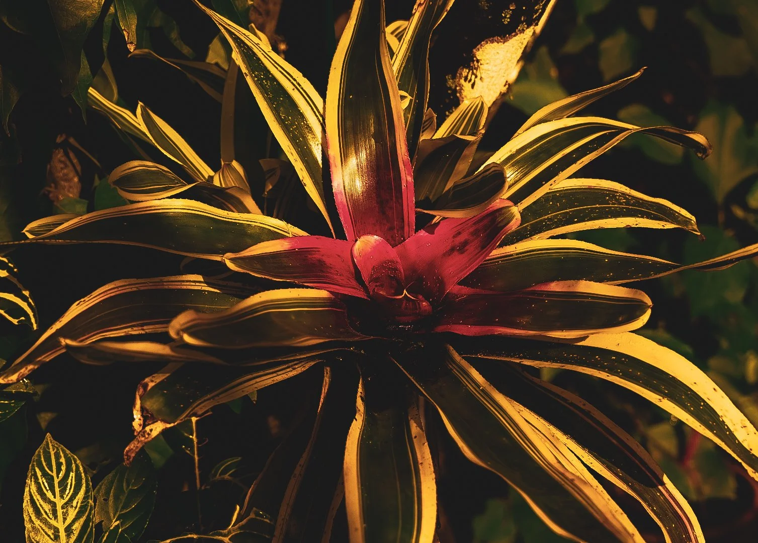_DSC1383.jpeg