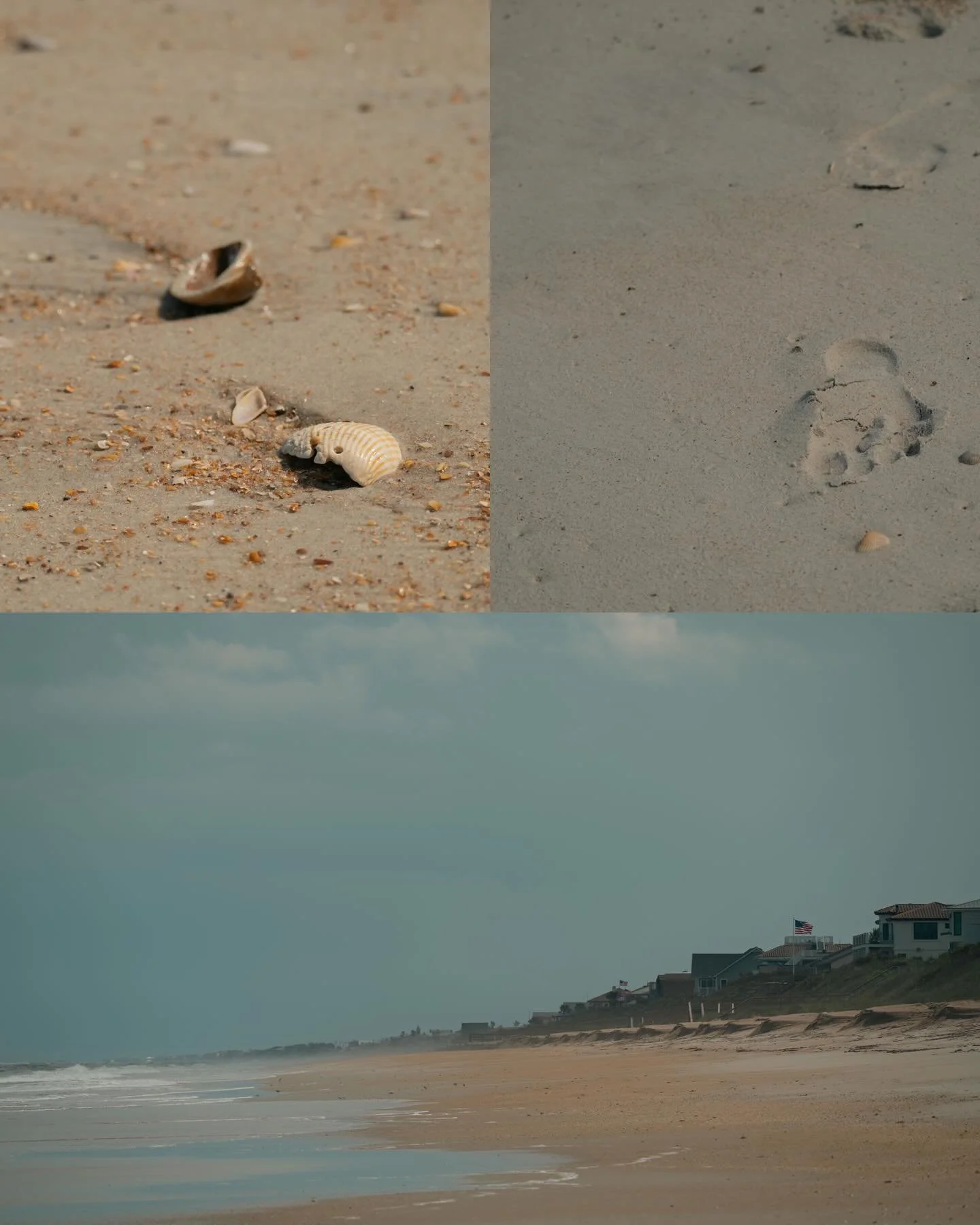 An adventure at the beach the other day 🏖️

#Beach #Photography #People #Weather #Sand #Shells #Photographer #Florida #PonteVedra #MicklersBeach #ShellHunting #Collage #SCRL #Ocean