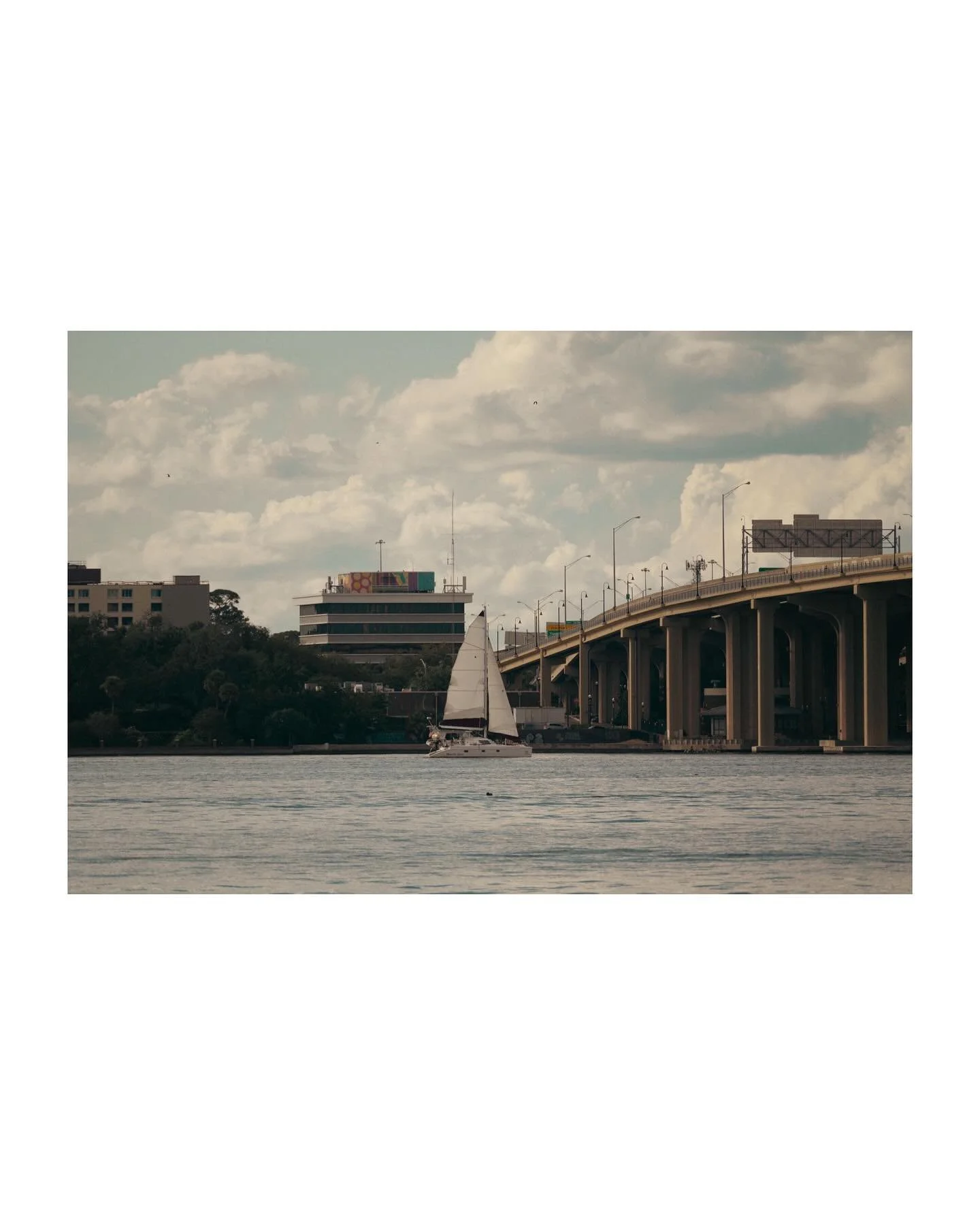 A visit to Greenscape Celebration Park left me with so much joy ❤️

#Florida #StJohnsRiver #Boat #Dolphins #Park #Pier #Photography #SanMarco