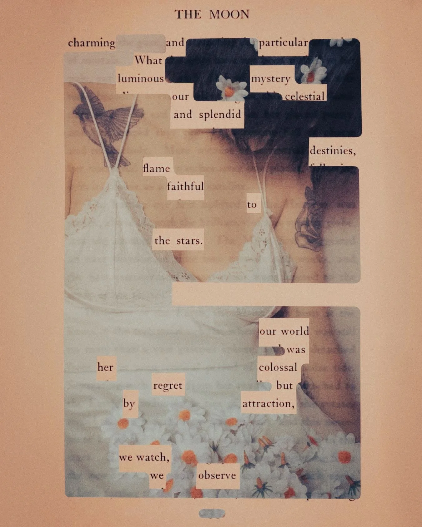 "the moon - tarot card edition" blackout poetry

#Pinterest #BlackoutPoetry #Poem #MoonTarot #Photography