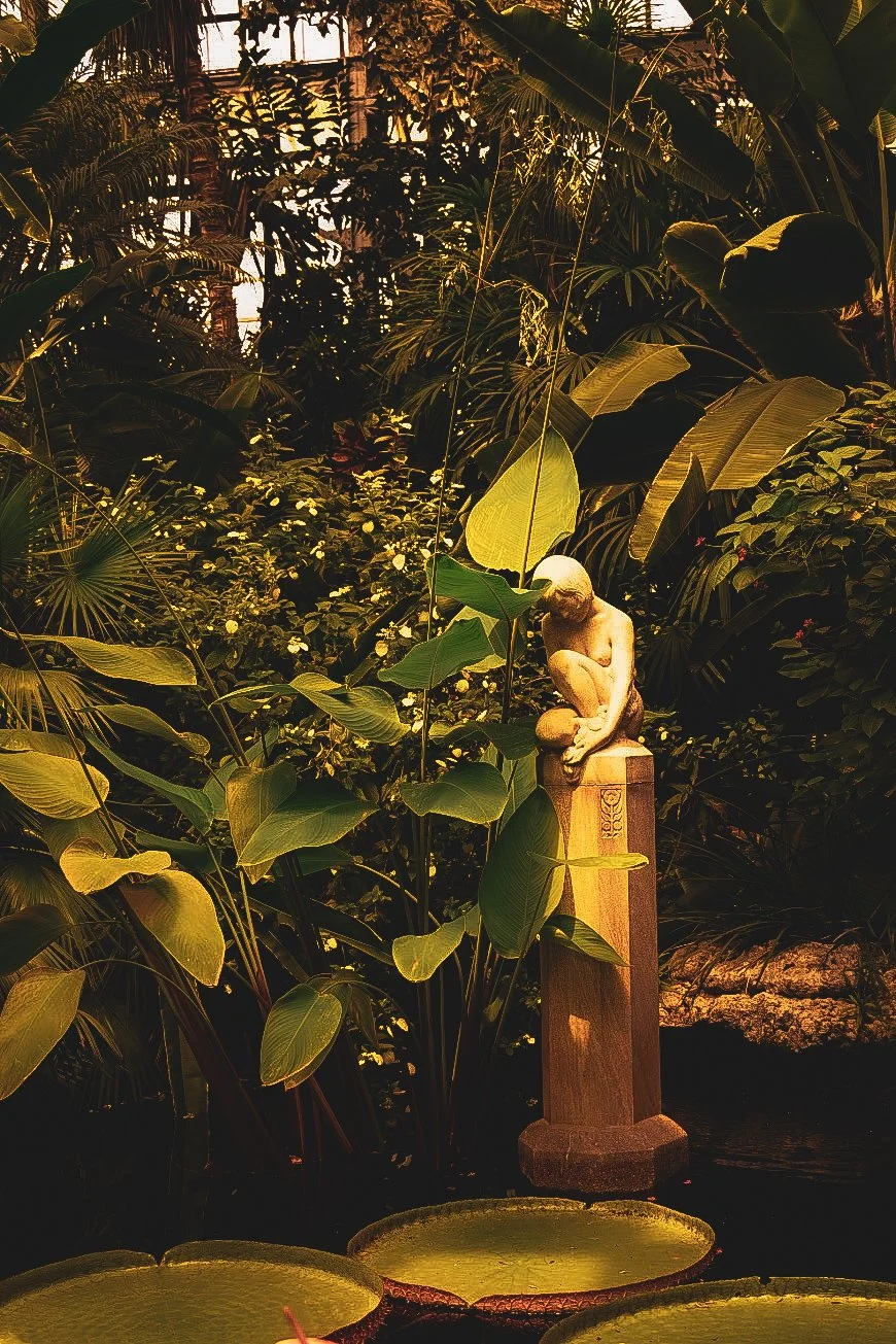 _DSC0371.jpeg