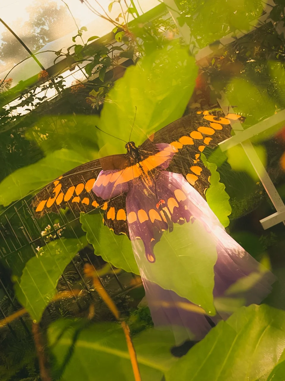 _DSC2032.jpeg