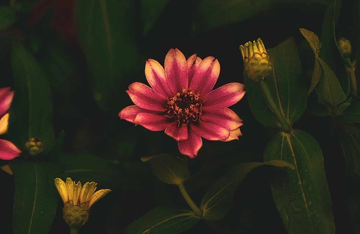 _DSC1376.jpeg