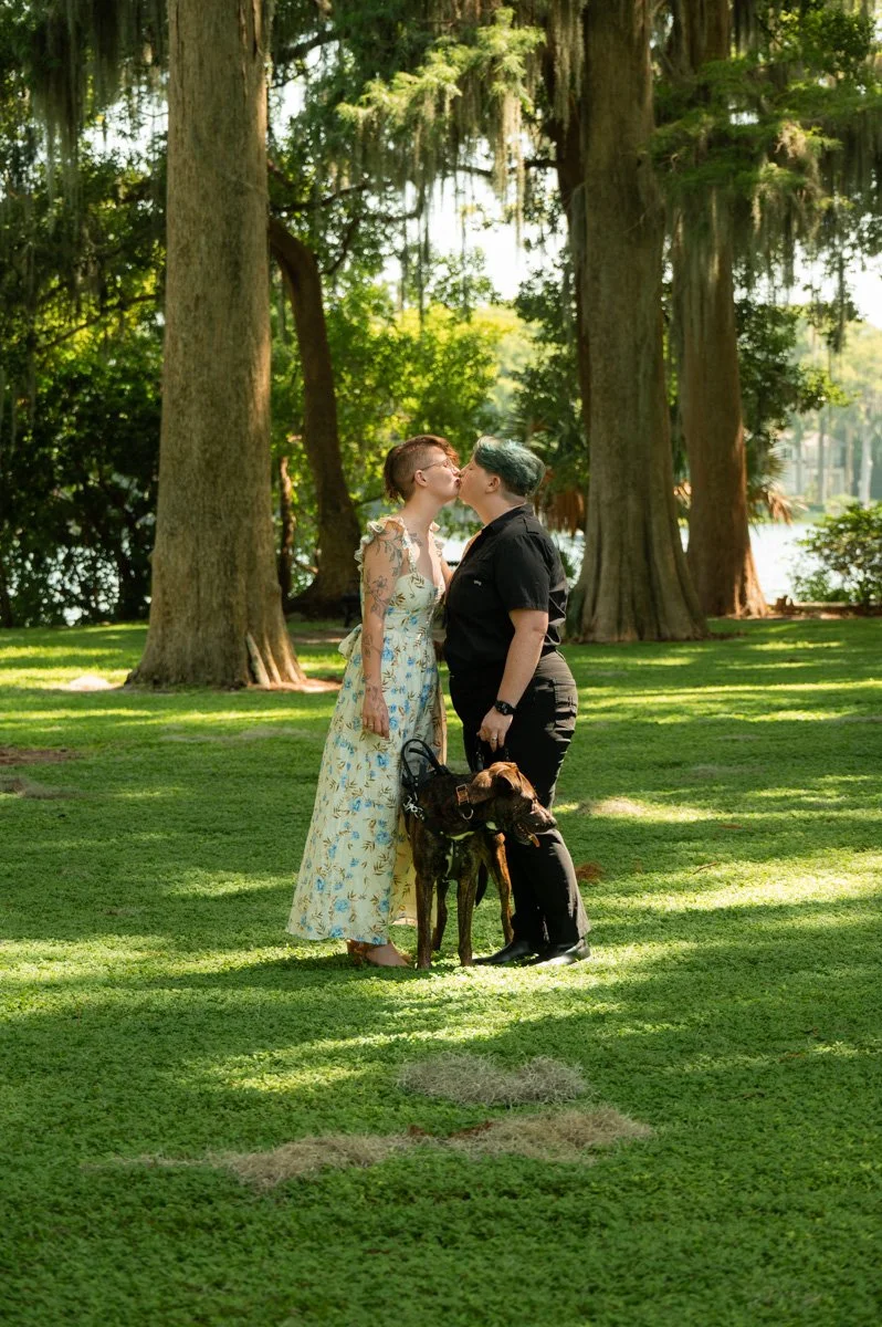 _DSC9486.jpg