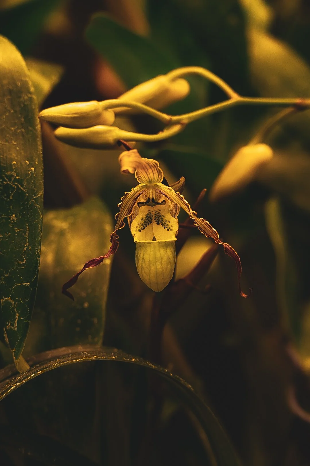 _DSC0414.jpeg