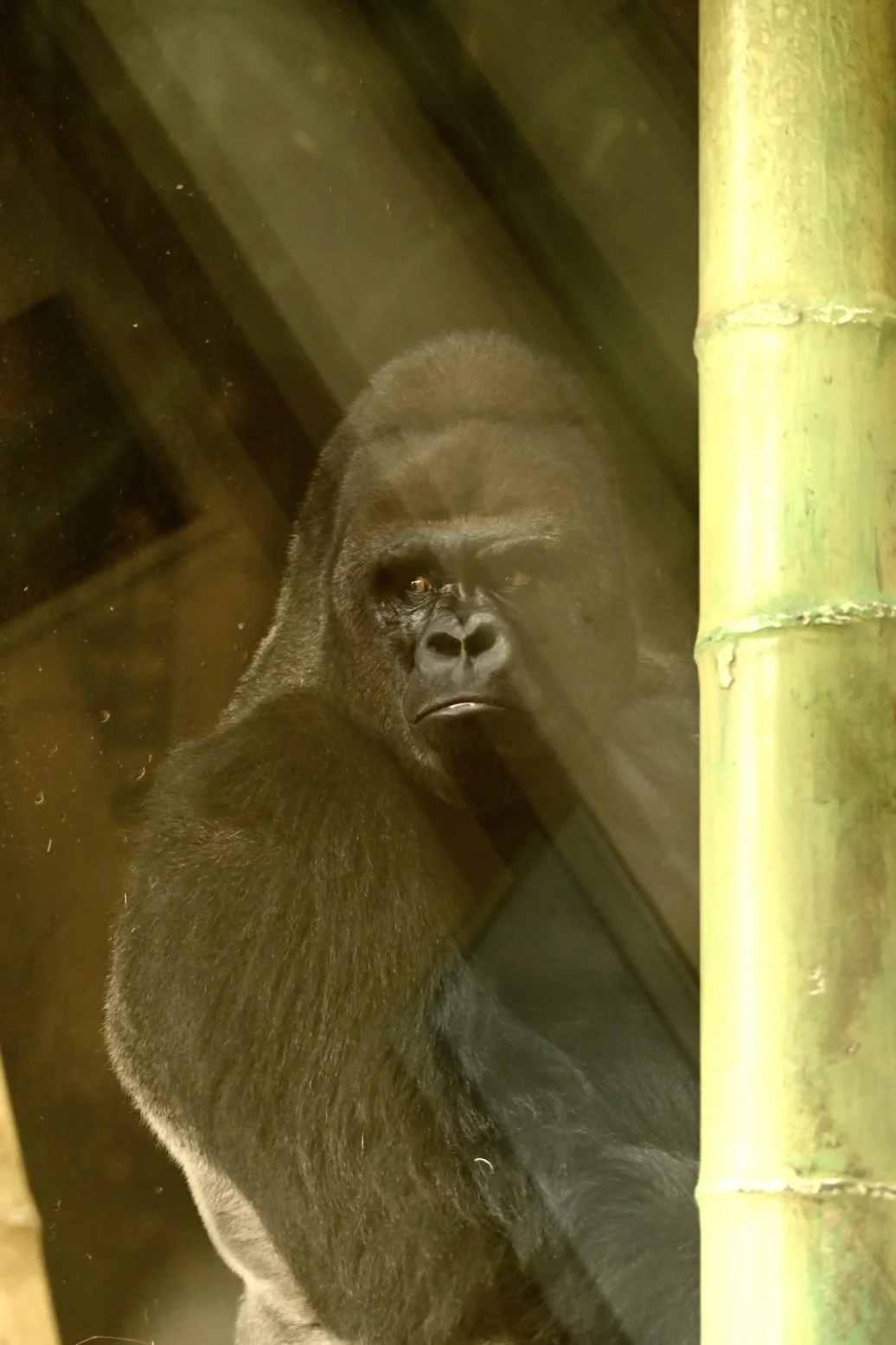 _DSC1020.jpeg