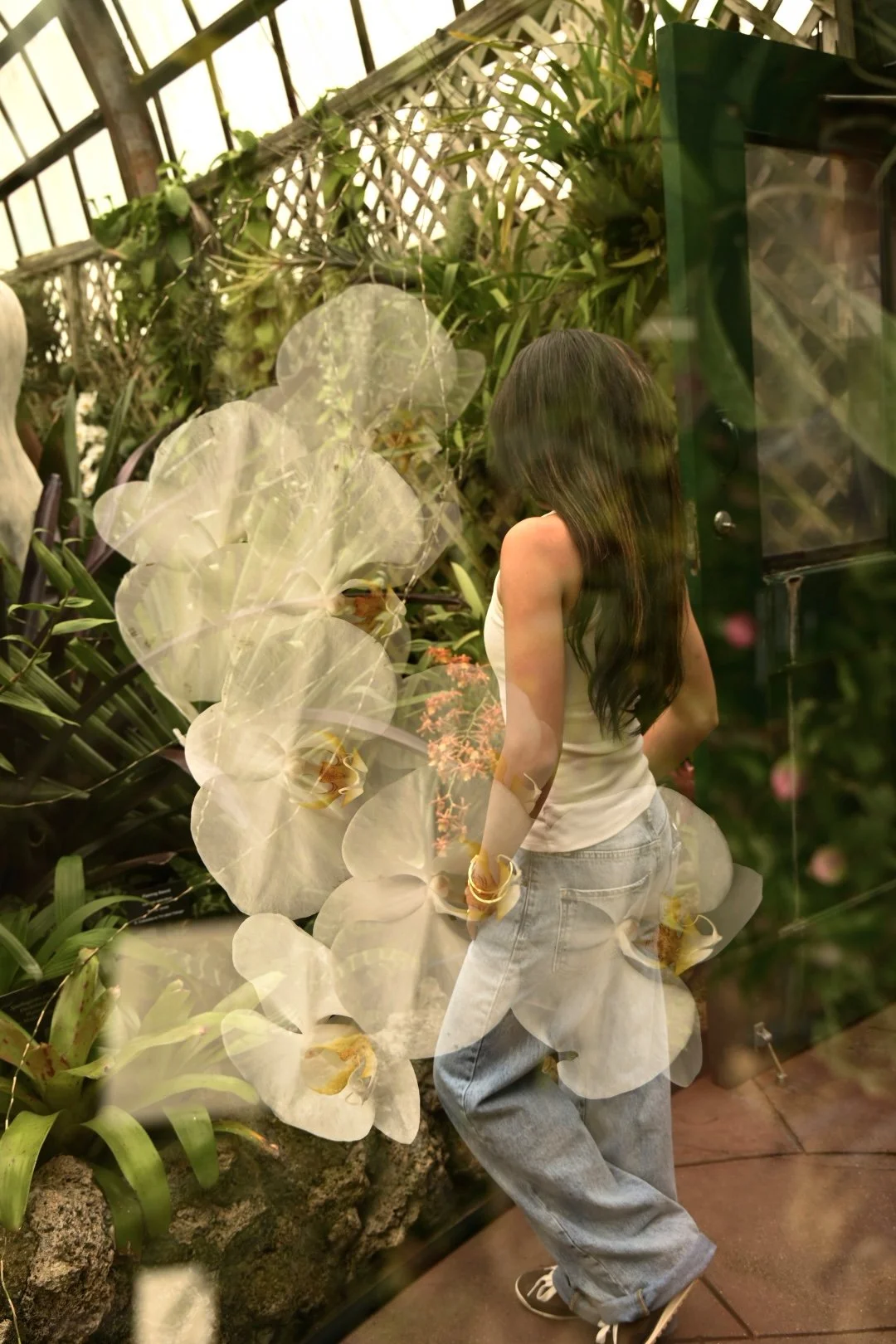 _DSC0434.jpeg
