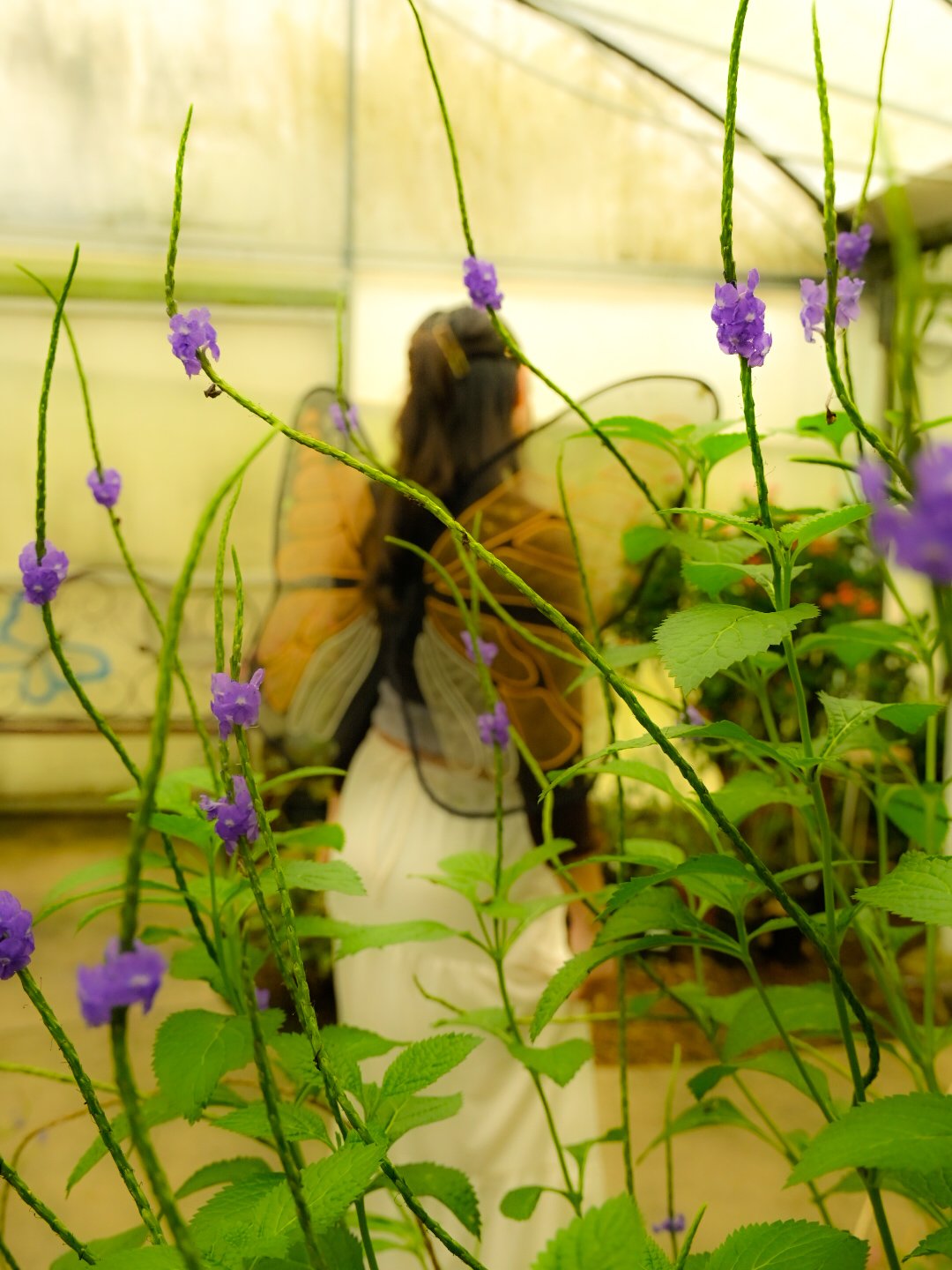 _DSC1825.jpeg