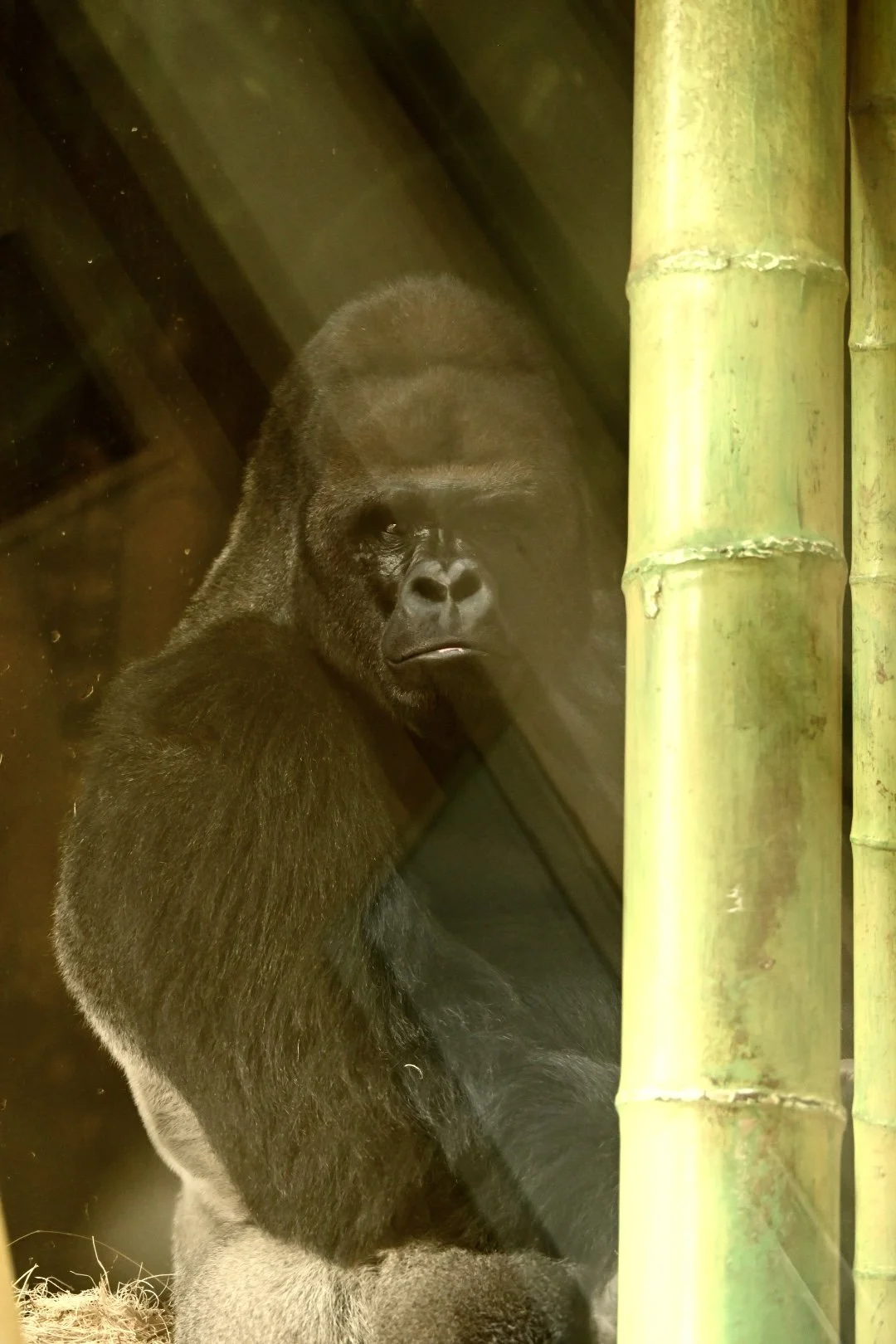 _DSC1018.jpeg