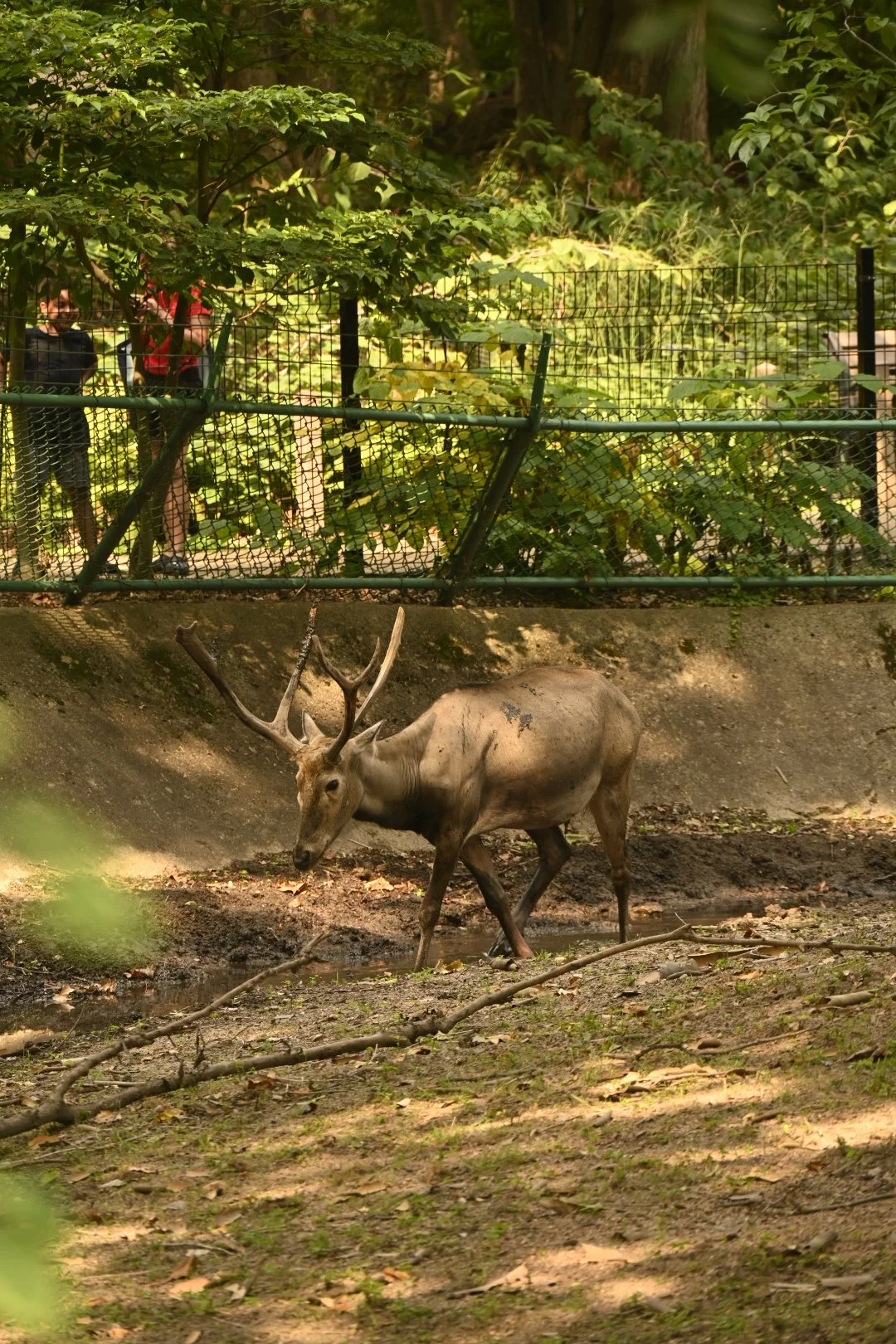 _DSC1062.jpeg