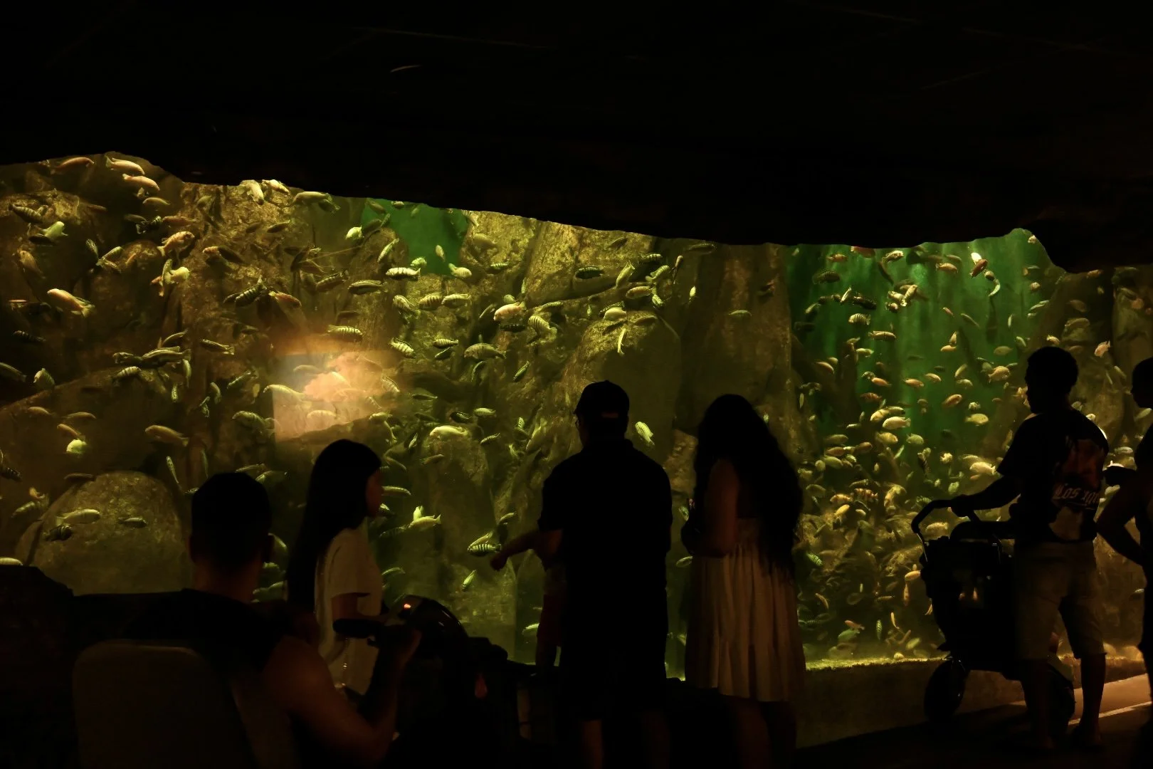 _DSC1130.jpeg