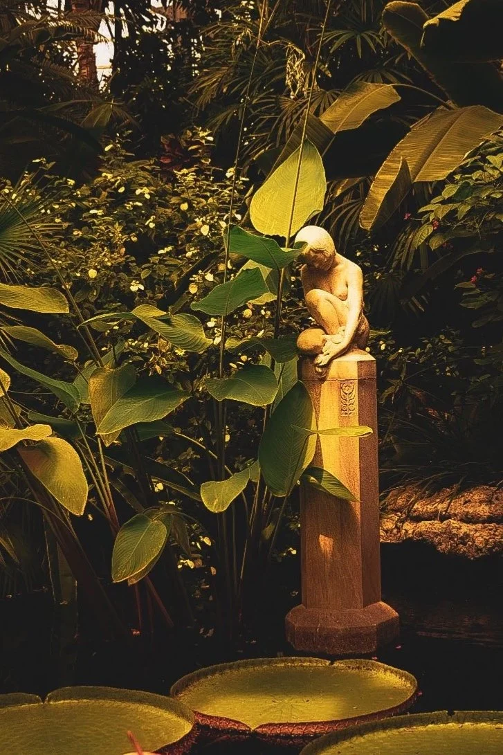Lincoln Park Conservatory