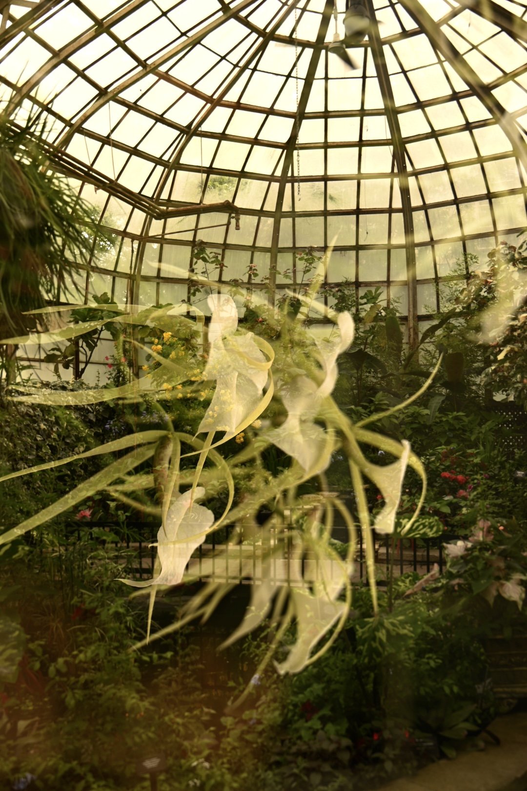 _DSC0604.jpeg