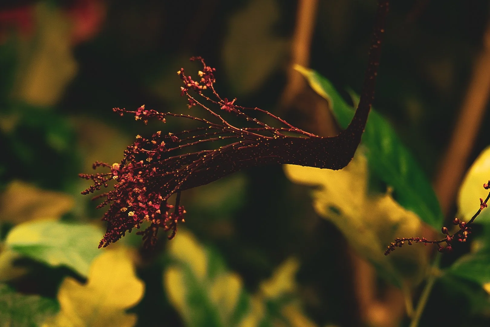 _DSC0614.jpeg