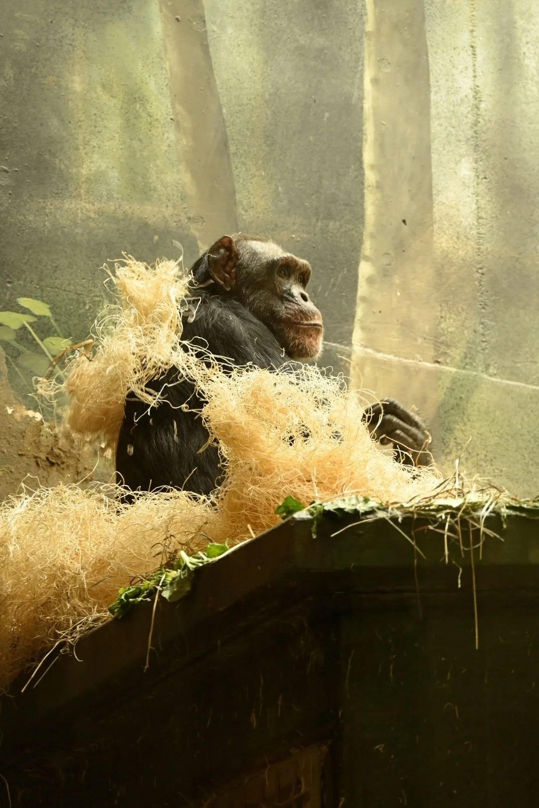 _DSC1028.jpeg