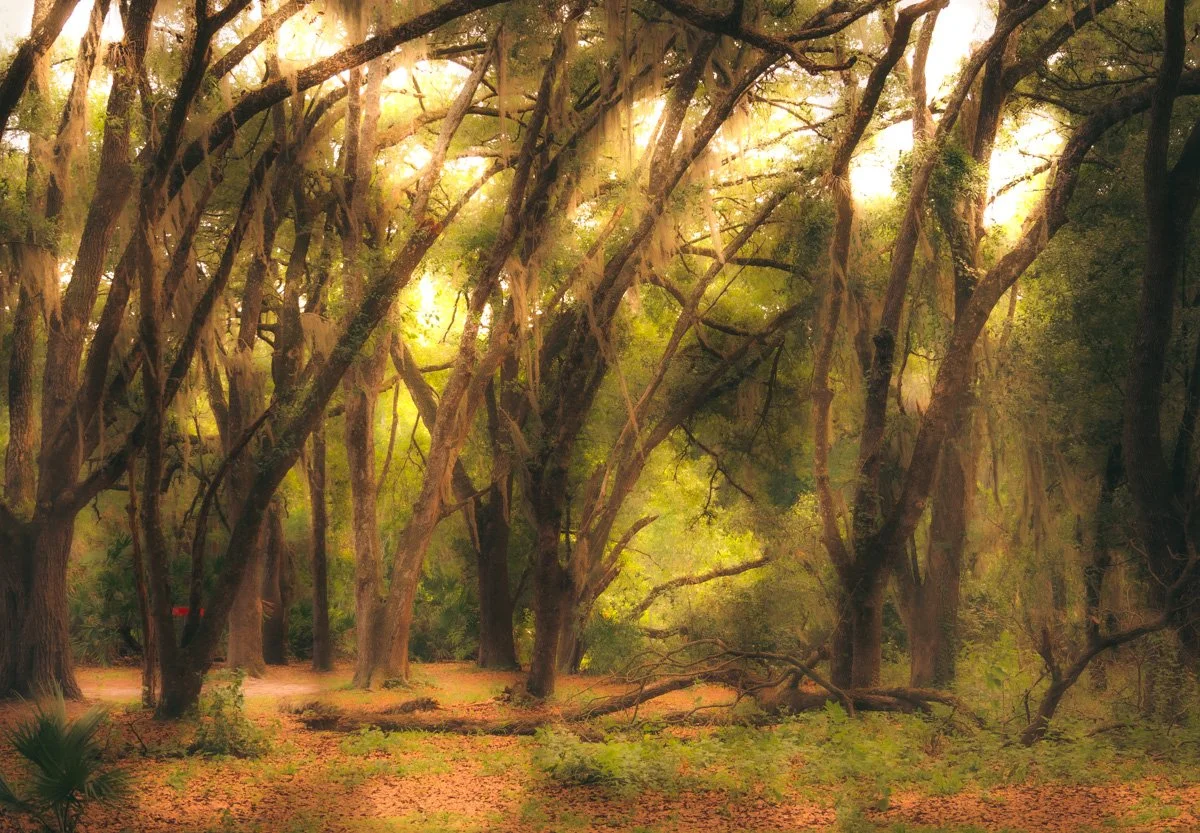 _DSC9010.jpeg