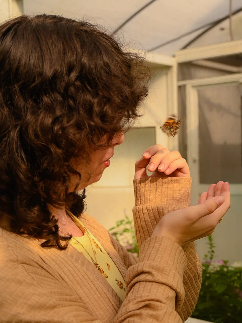 _DSC1593.jpeg