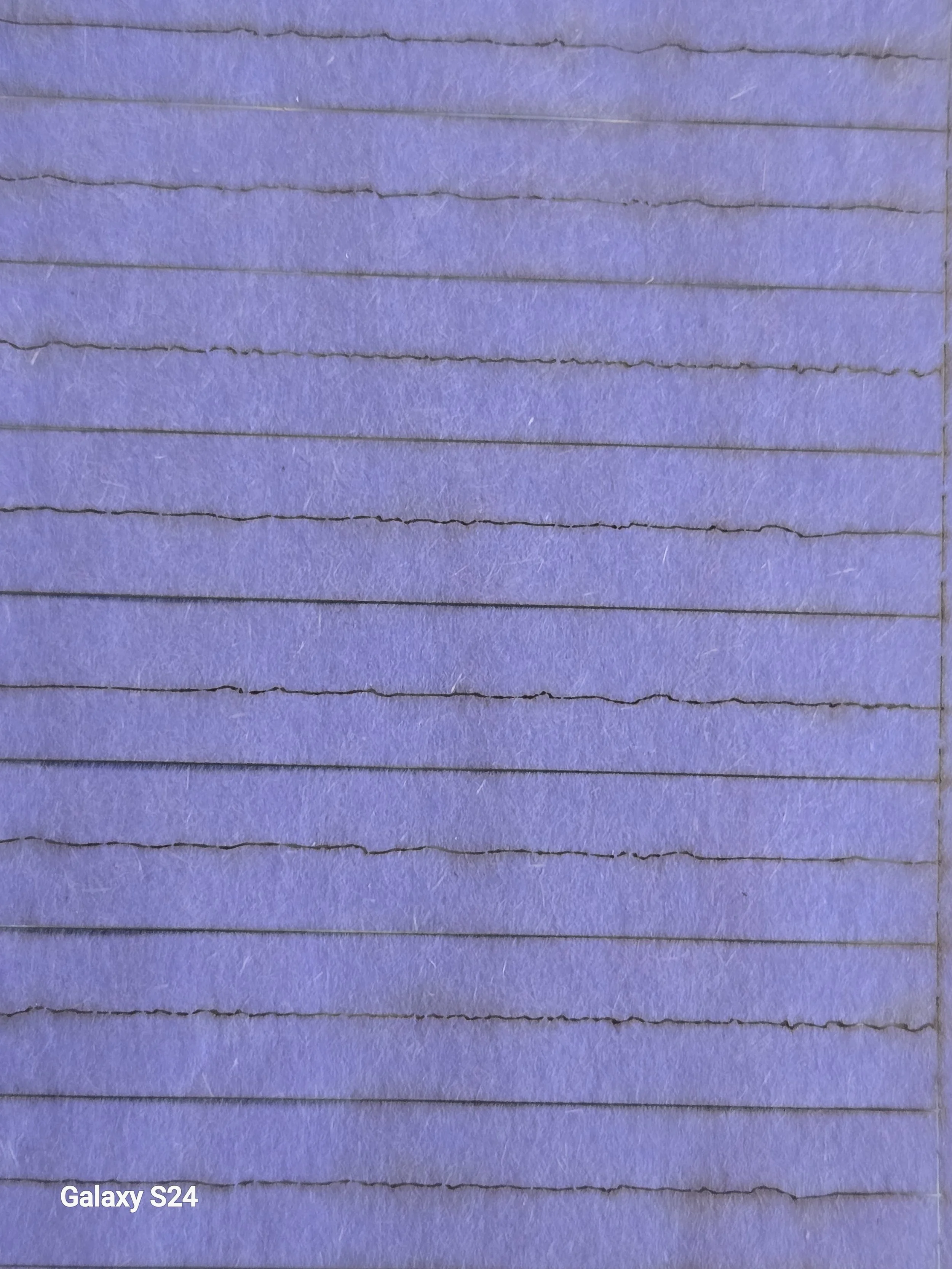 20260211_141437.jpg (Copy)