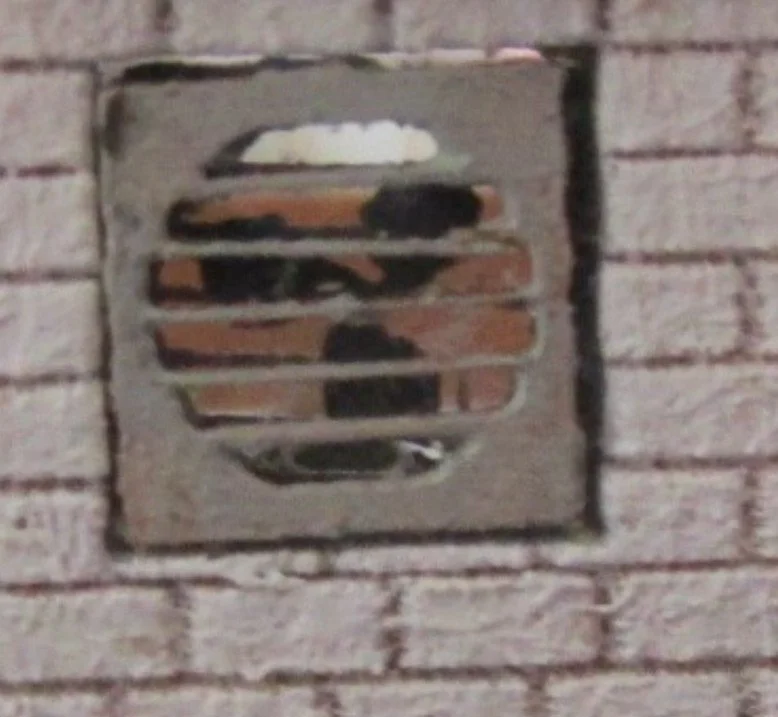 Exhaust Fan.jpg