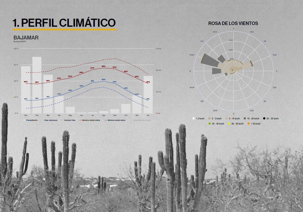 Captura de pantalla 2026-02-24 164157.png