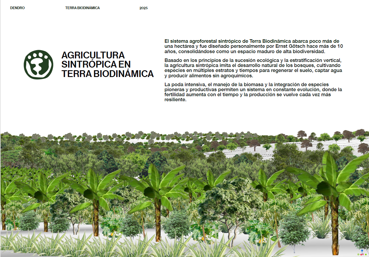 Captura de pantalla 2025-05-27 132916.png