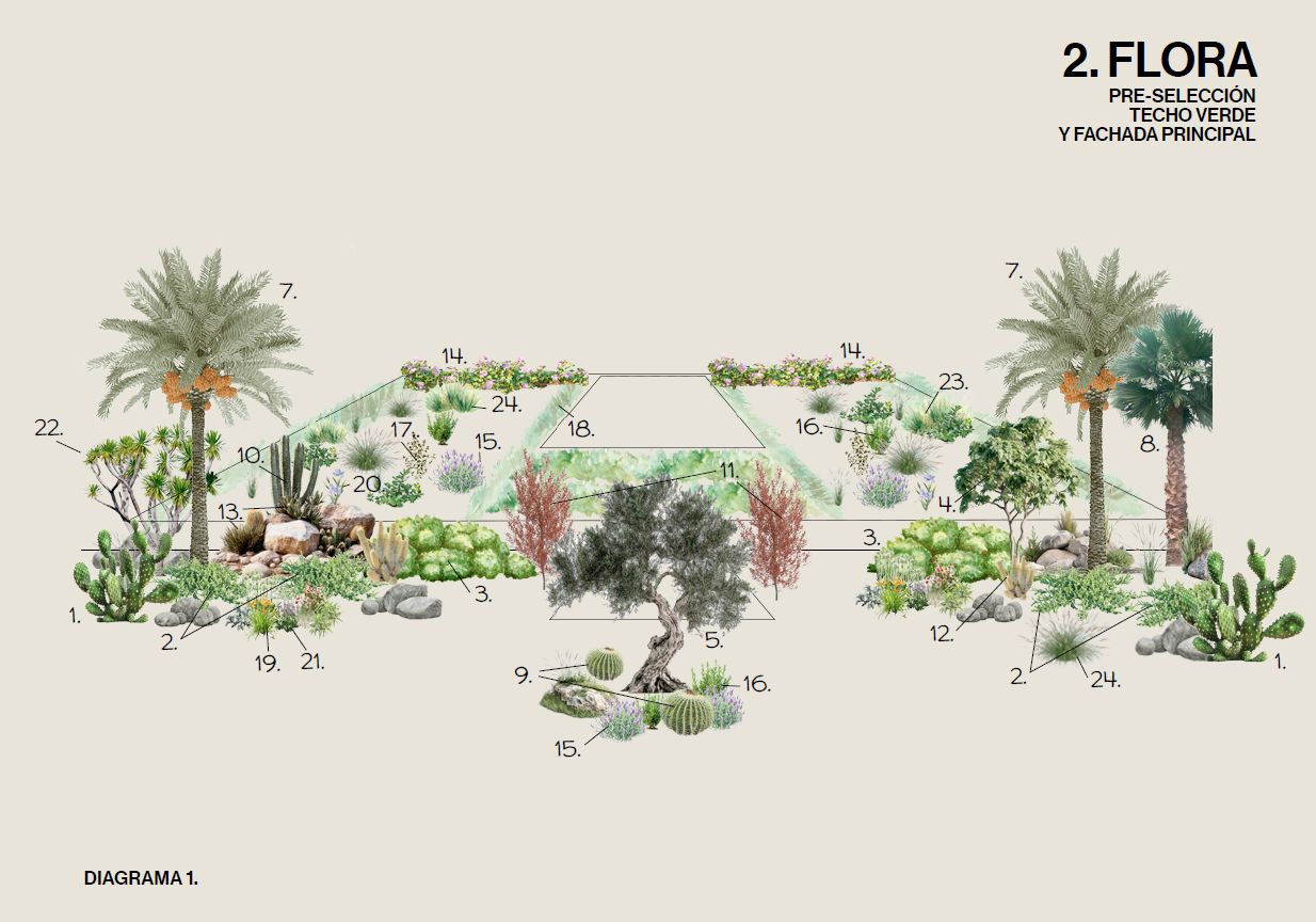 Paleta vegetal 2.png