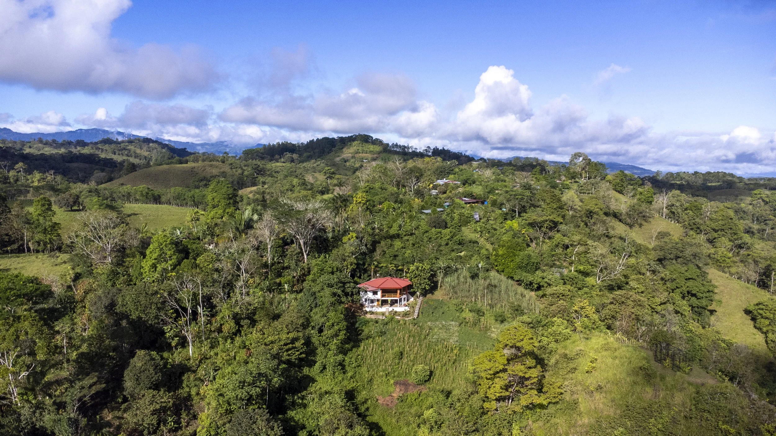 The Best Holistic Wellness Retreats in Costa Rica: A guide to finding a retreat that actually changes something — and how to tell the real ones apart.