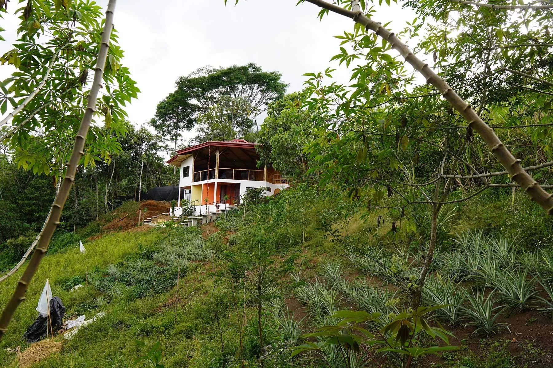 Holistic_Retreat_Costa_Rica_Finca_Malama_br_San_Vito_Finca_M_lama_147.webp