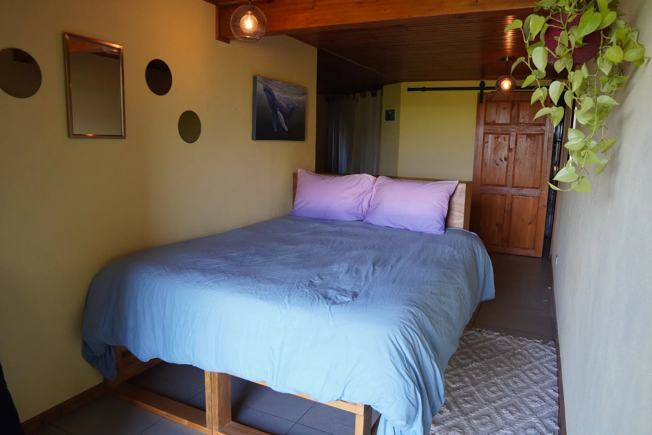 Facilities_Finca_M_lama_069.webp