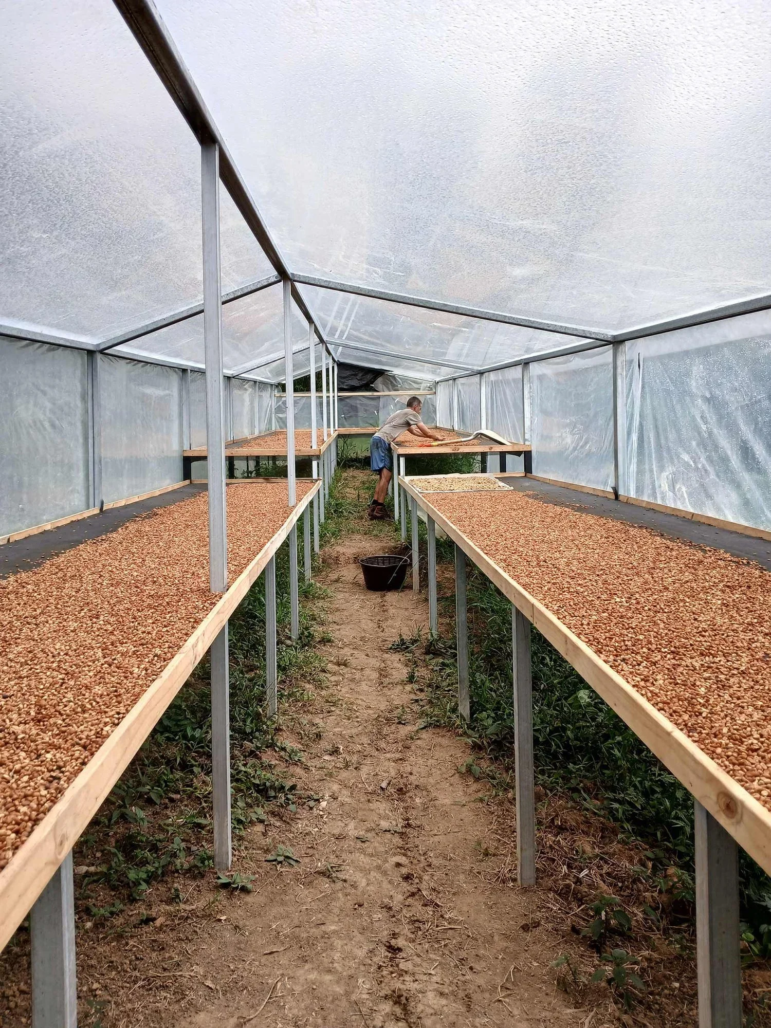 Store_Finca_M_lama_065.webp