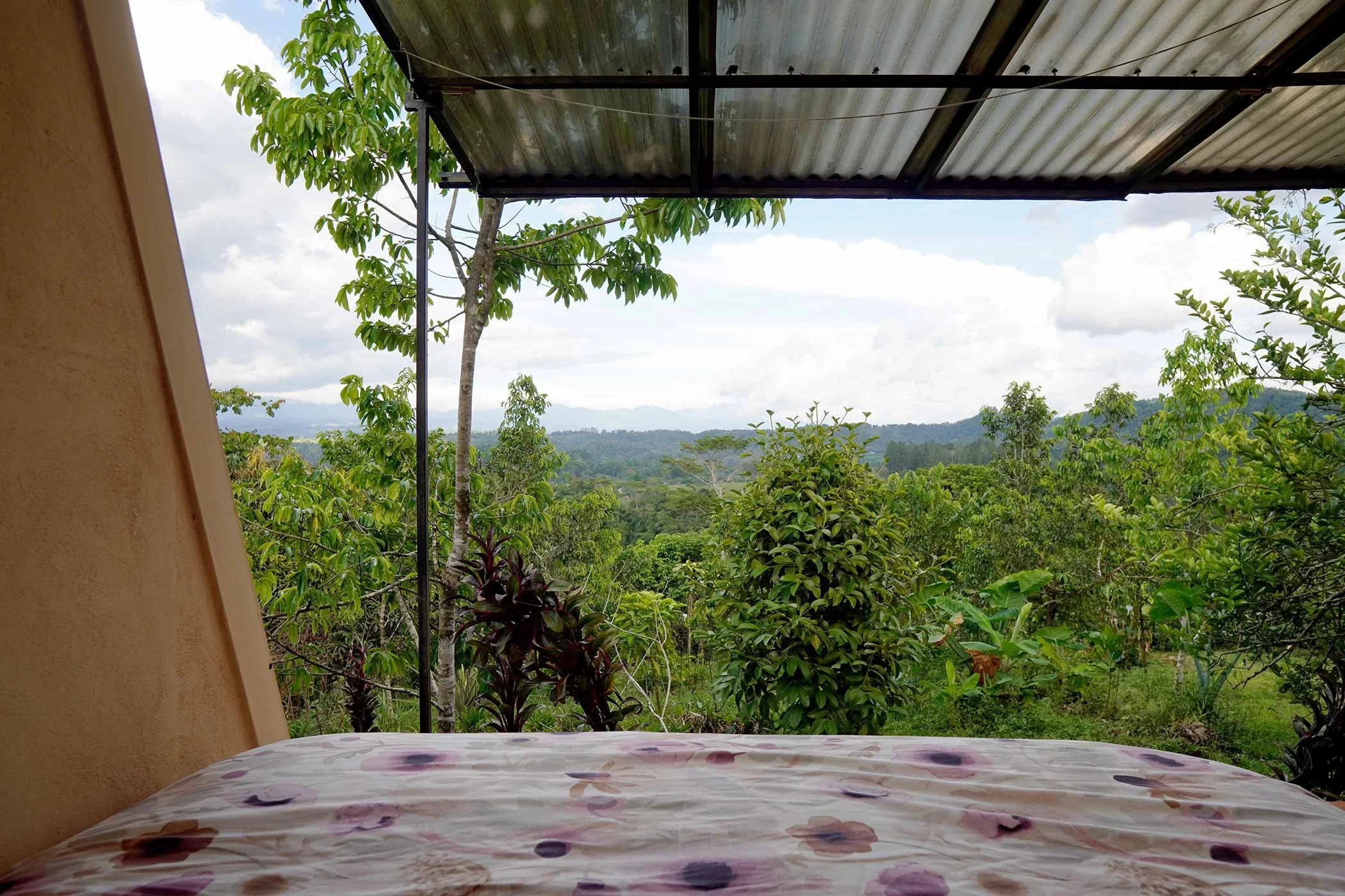 Facilities_Finca_M_lama_095.webp