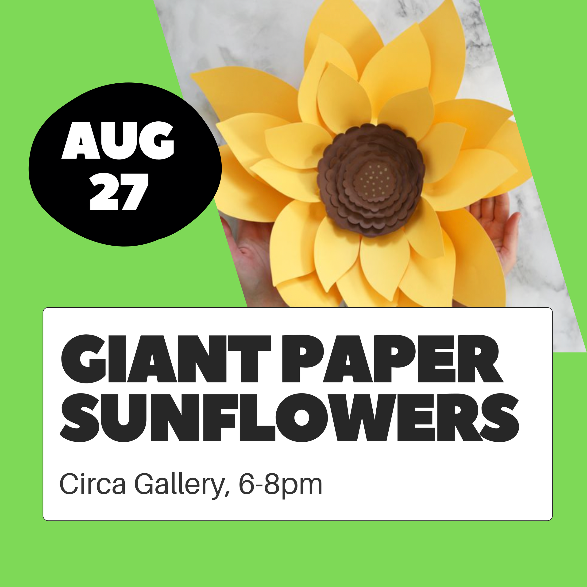 Wednesday Workshop: Giant Sunflowers