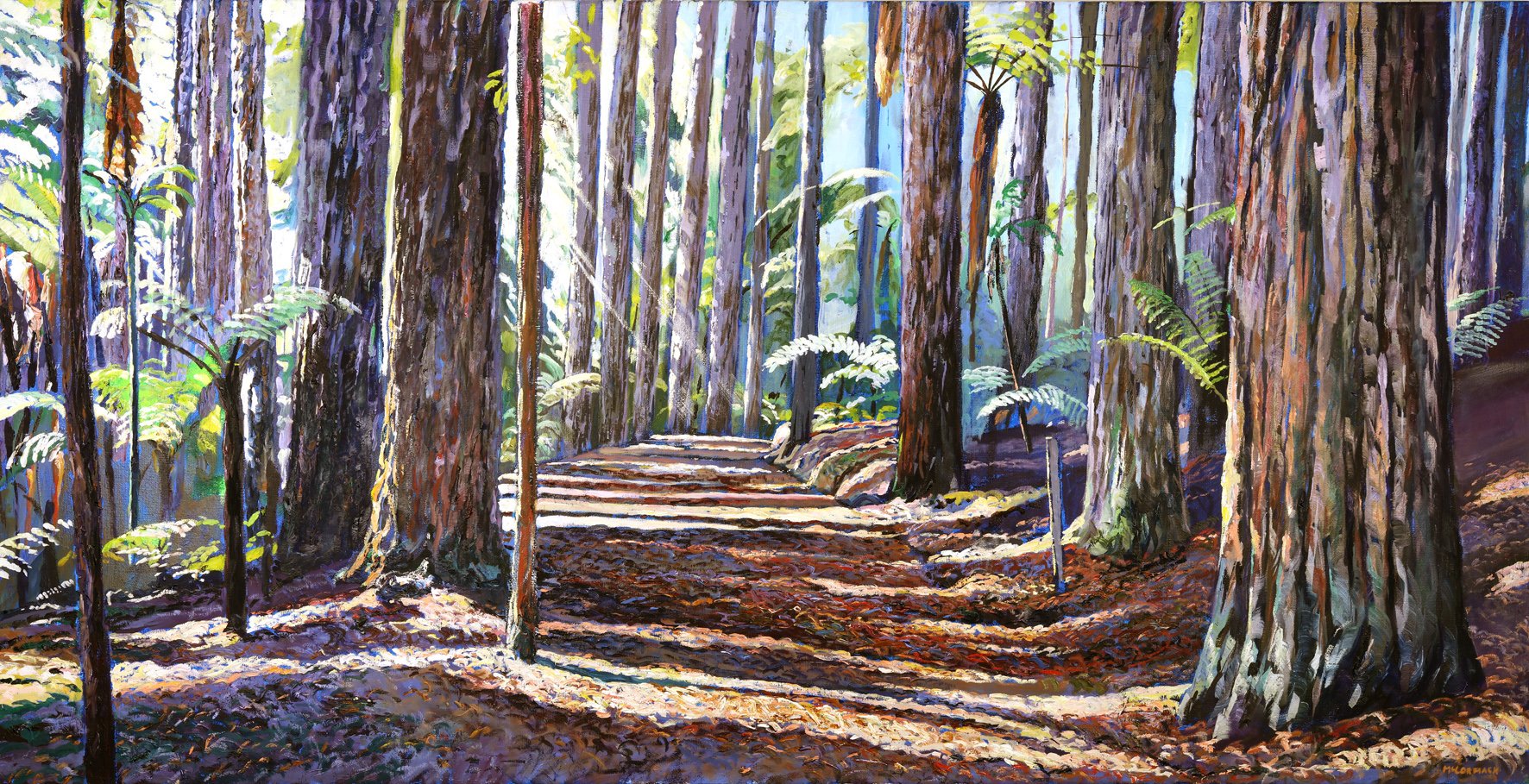 The Redwoods, Roturua.jpg