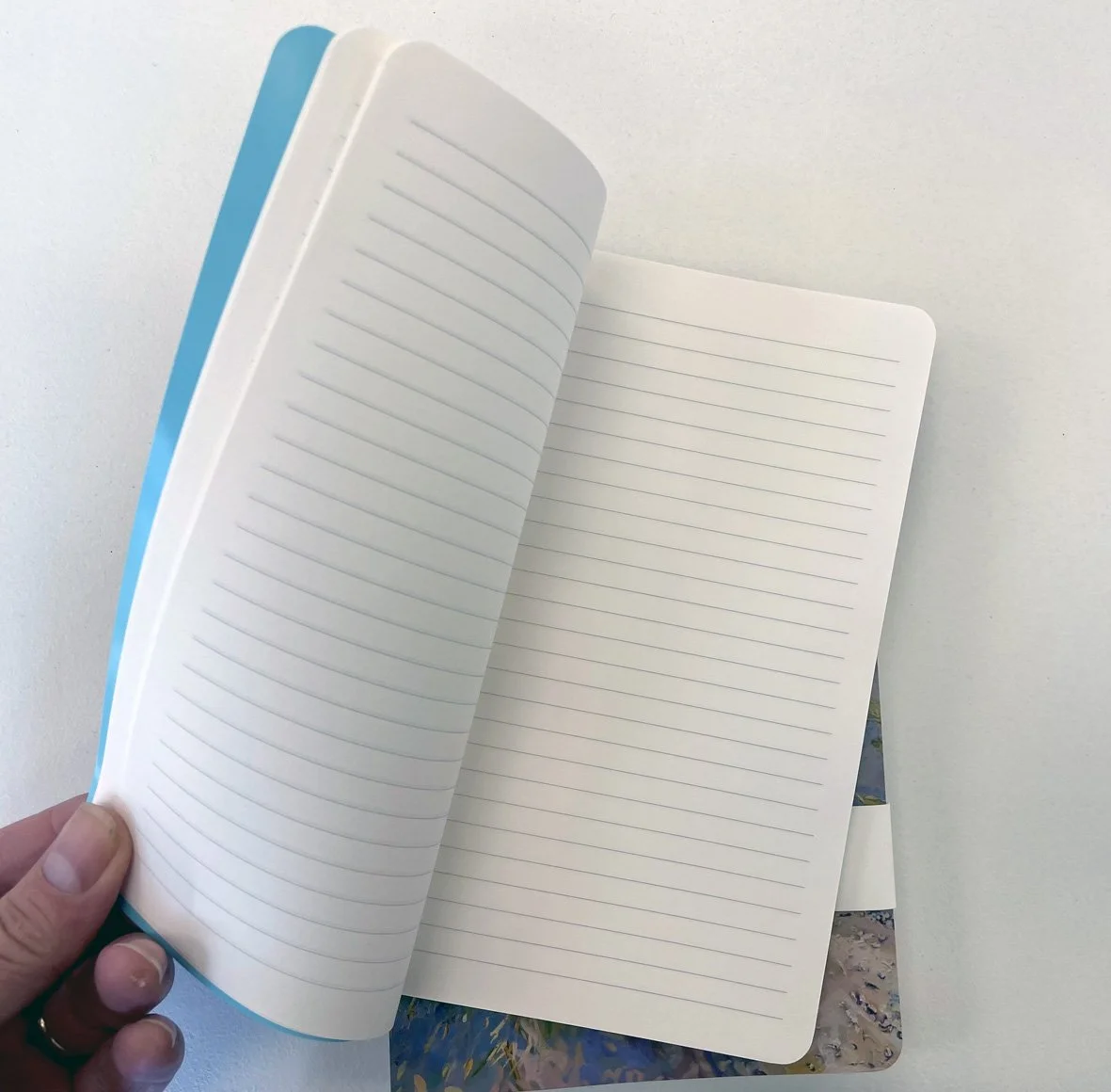 Notebook Island Bay Last Light5.jpg