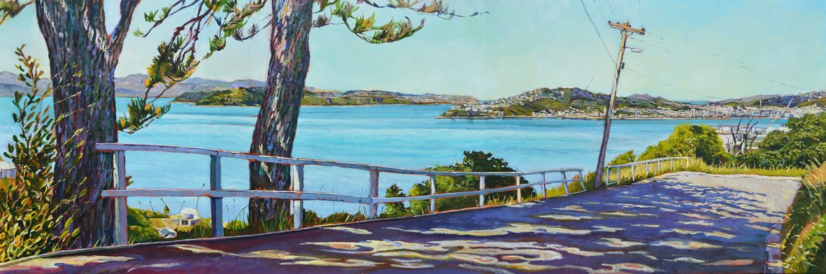 Wellington Harbour view from Nicholson Road small low res.jpg